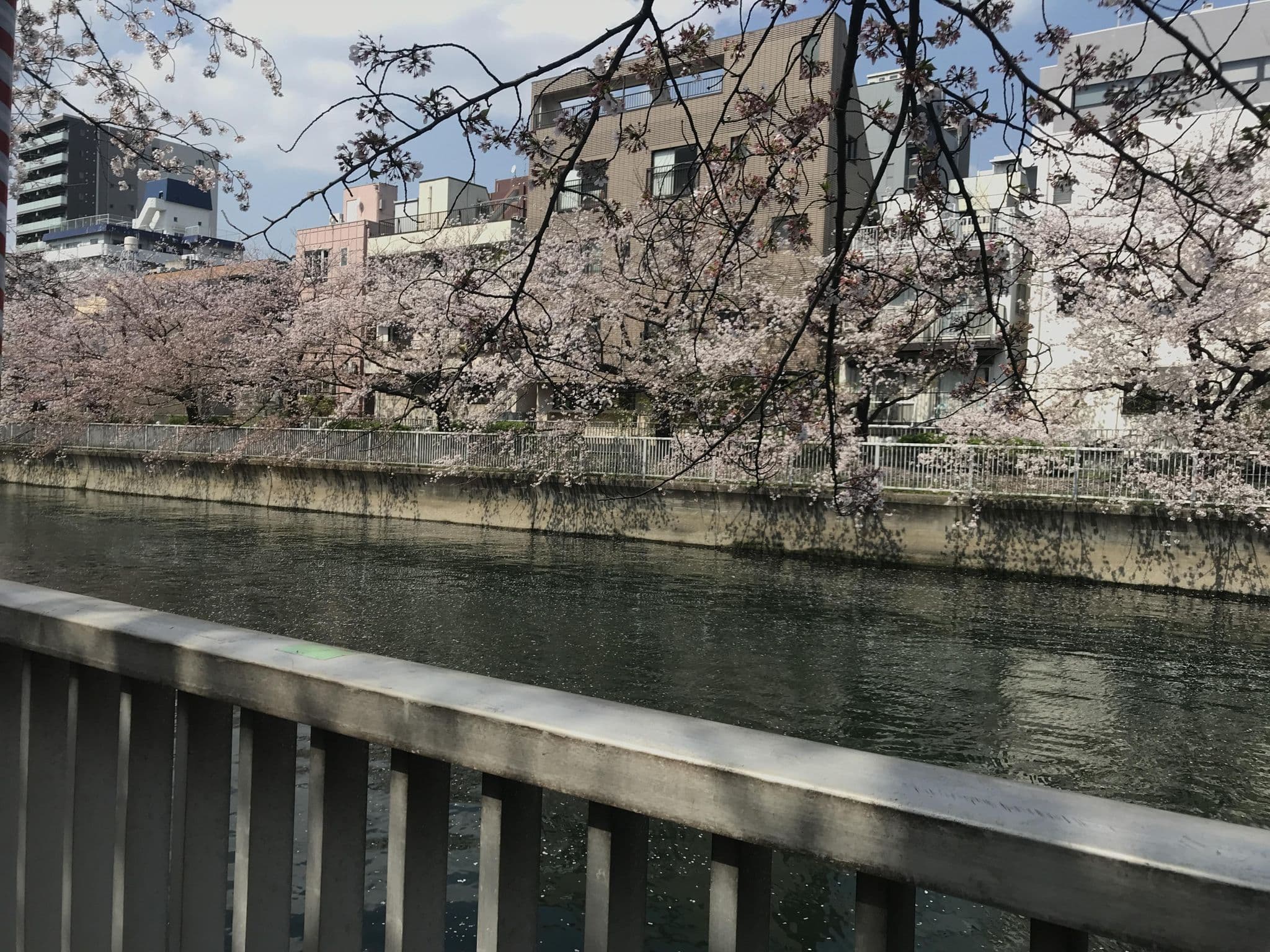 Street view near ホテルリンクス, Etchūjima — © musashino5 (CC BY-SA · Mapillary)