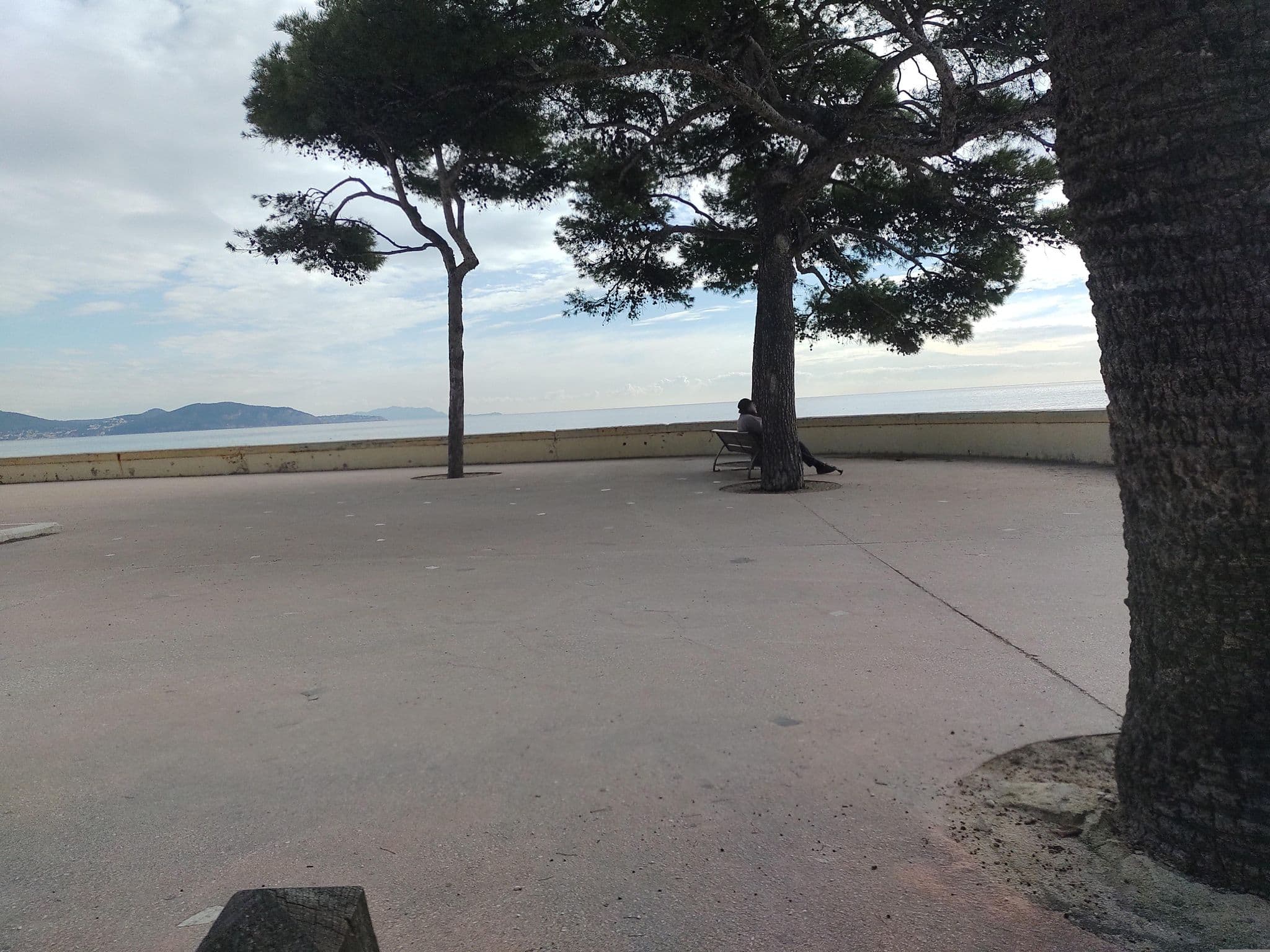 Street view near Miramar, La Ciotat — © mapeadora (CC BY-SA · Mapillary)