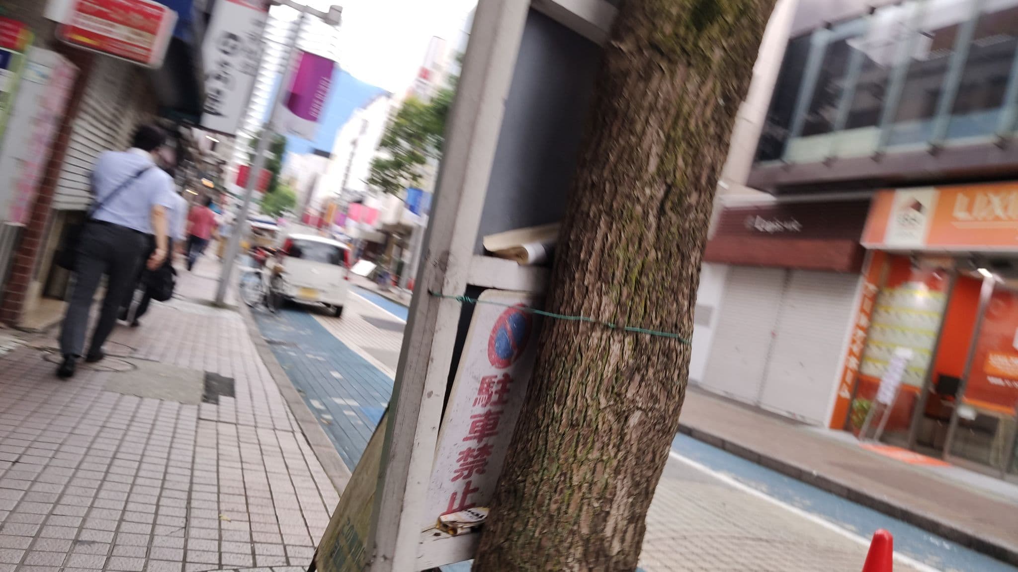 Street view near エリザベス石庭, Ichikawa — © gwalker7 (CC BY-SA · Mapillary)