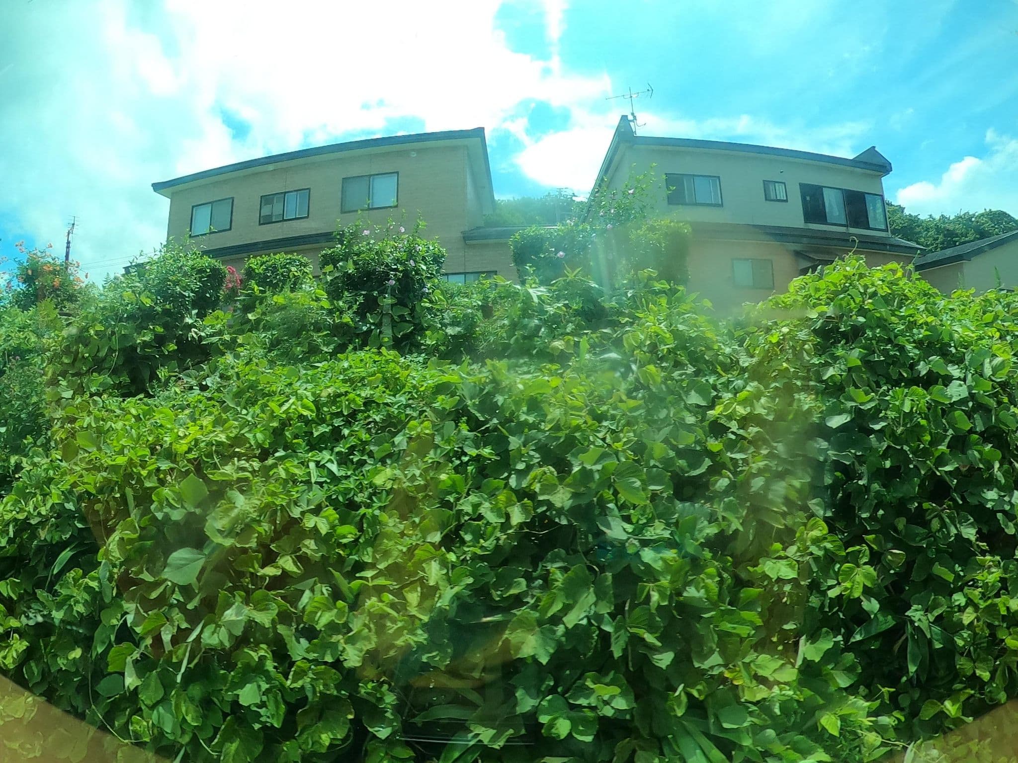 Street view near ペンションおもしぇ, Fukaura — © castletrain (CC BY-SA · Mapillary)