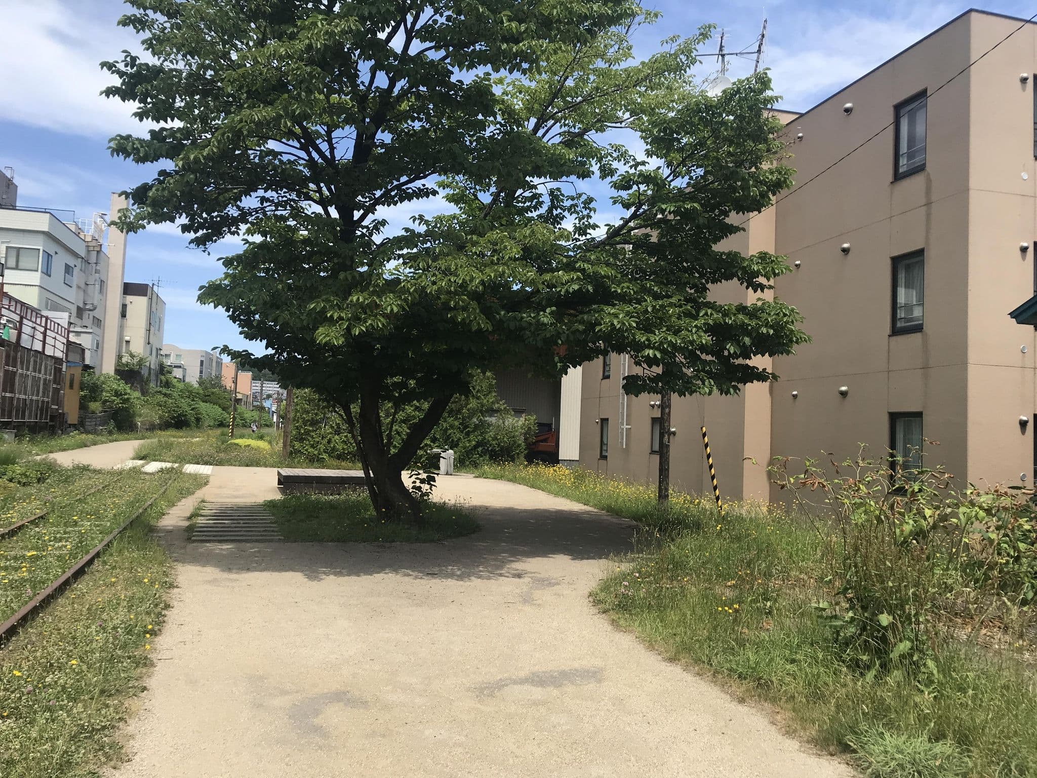 Street view near おたる北運河かもめや, Otaru — © musashino5 (CC BY-SA · Mapillary)