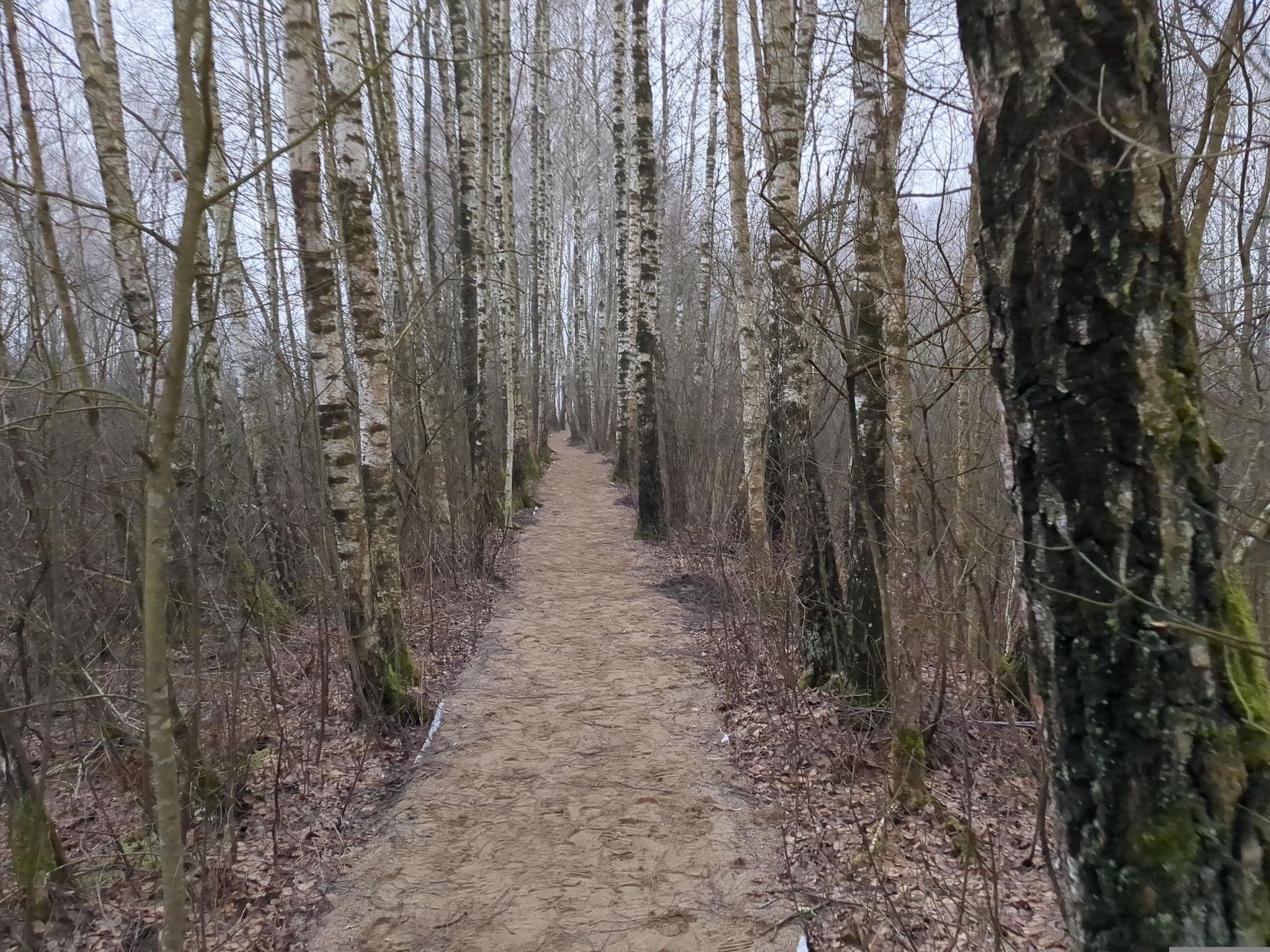 Street view near Pelikanas, Silute — © jurkis (CC BY-SA · Mapillary)