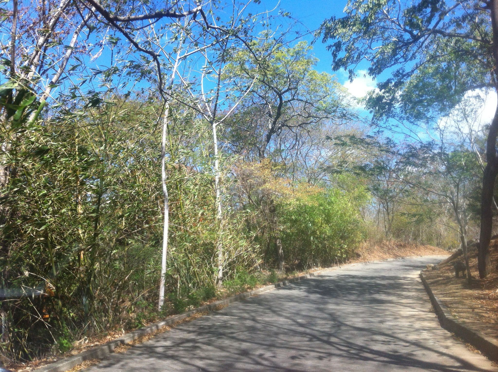Street view near Shankton Tower, Tola — © lumi (CC BY-SA · Mapillary)