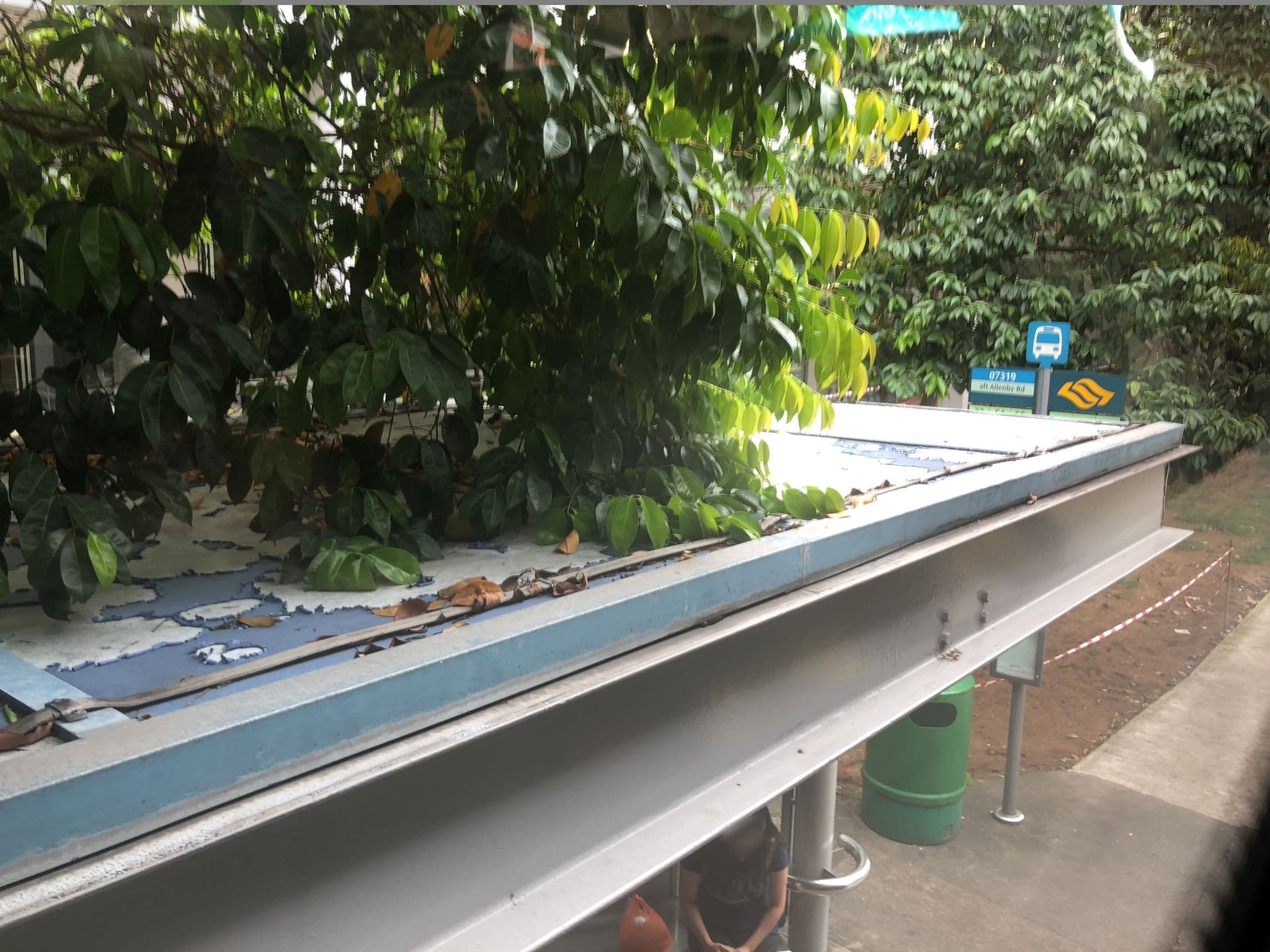 Street view near Fernloft, Farrer Park — © jeanchan21 (CC BY-SA · Mapillary)