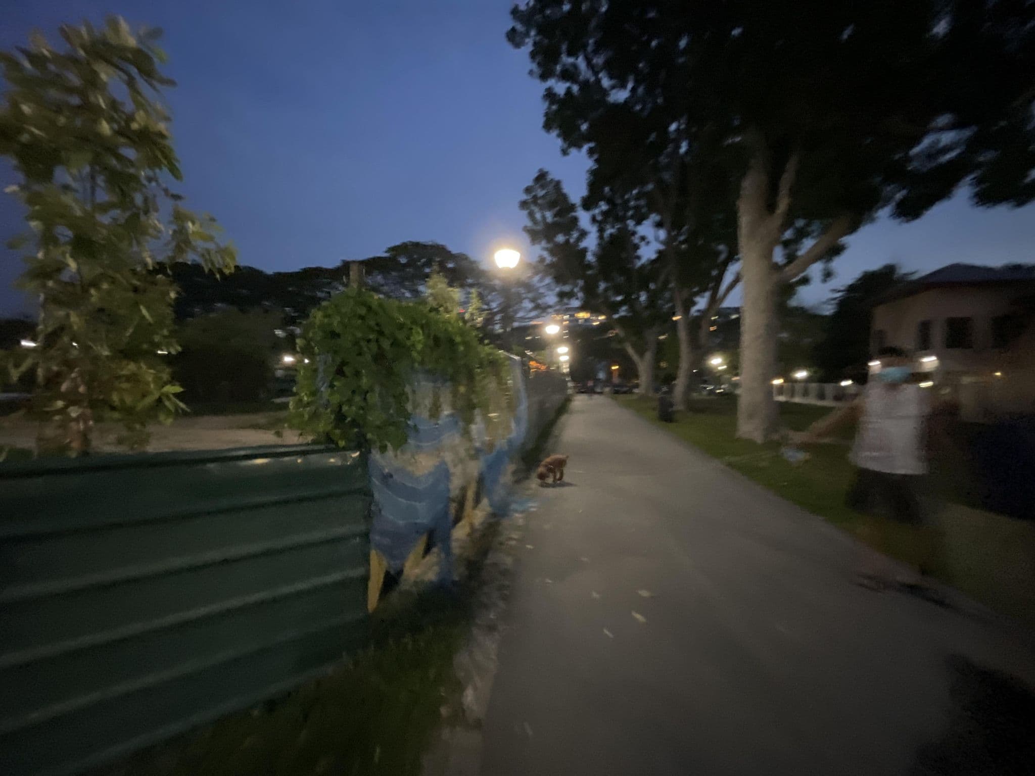 Street view near Pasir Ris Chalet U-05, Kampong Loyang — © filipb (CC BY-SA · Mapillary)