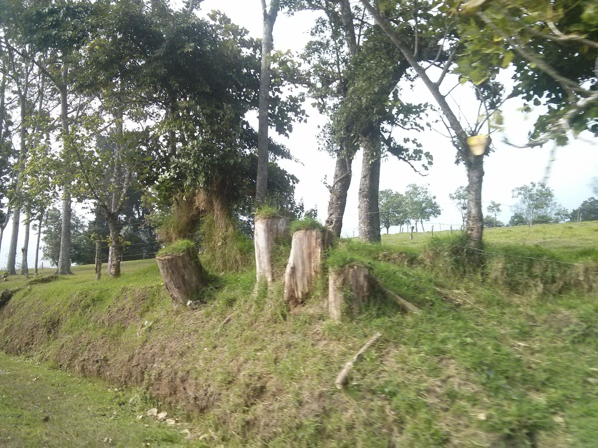 Street view near La Posada Del Duende, Ipís — © elopio (CC BY-SA · Mapillary)