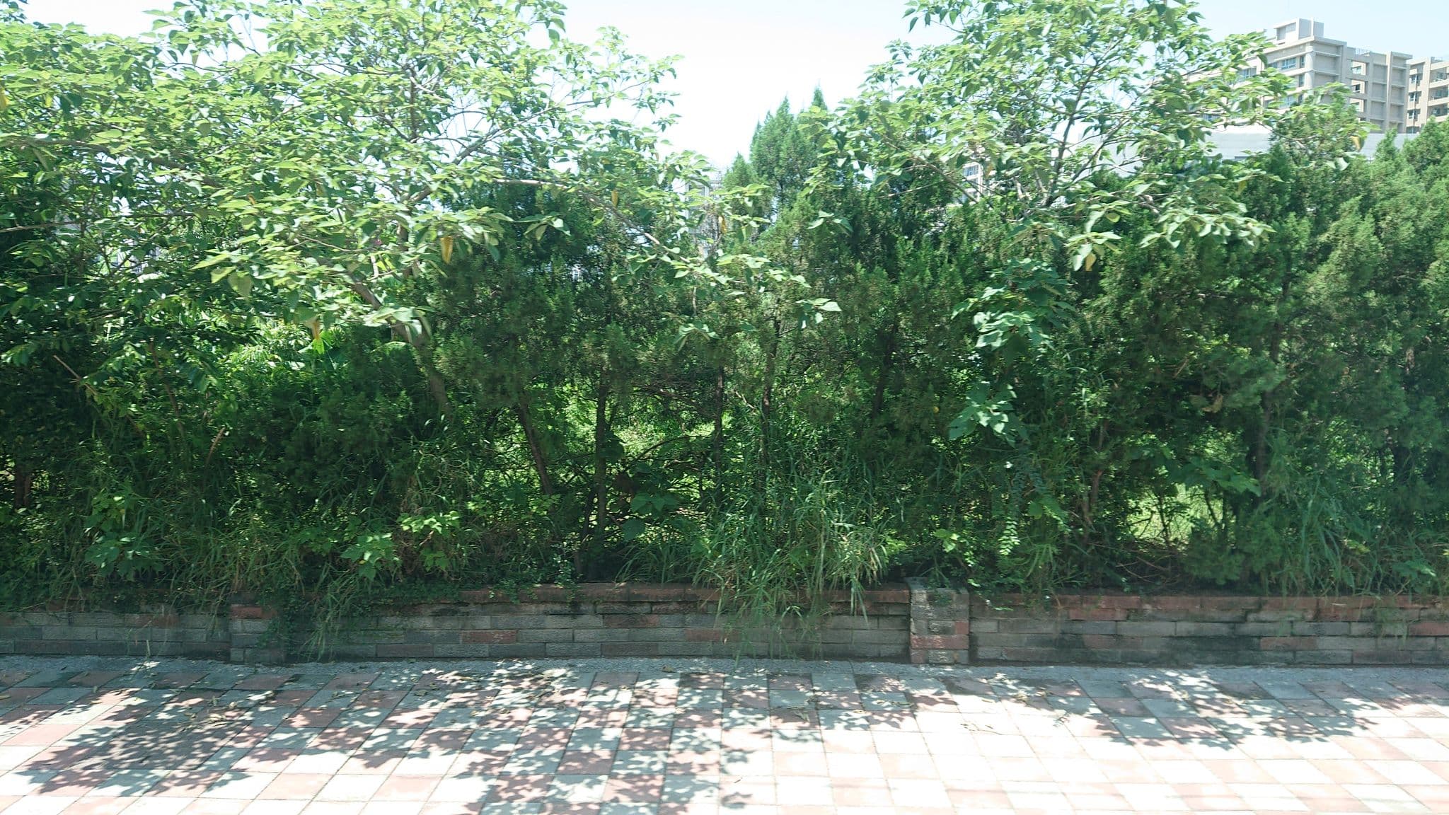 Street view near 達龍商務旅館, Hsinchu — © alllenwang (CC BY-SA · Mapillary)