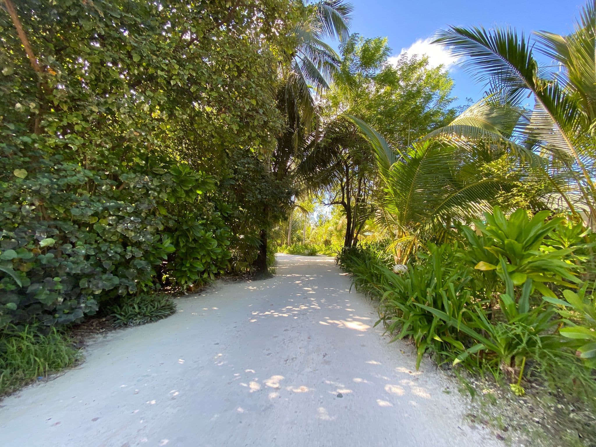 Street view near Amari Addu Maldives, Meedhoo — © alekseyrm (CC BY-SA · Mapillary)