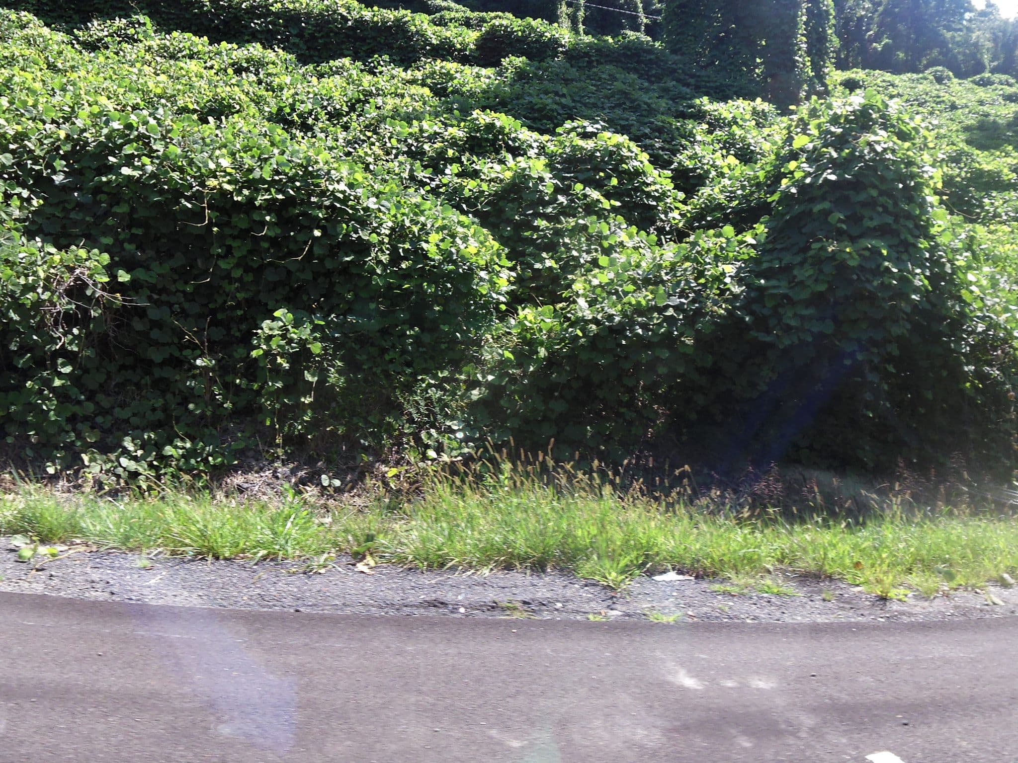 Street view near Polly's Bed & Breakfast, Hazard — © allen (CC BY-SA · Mapillary)