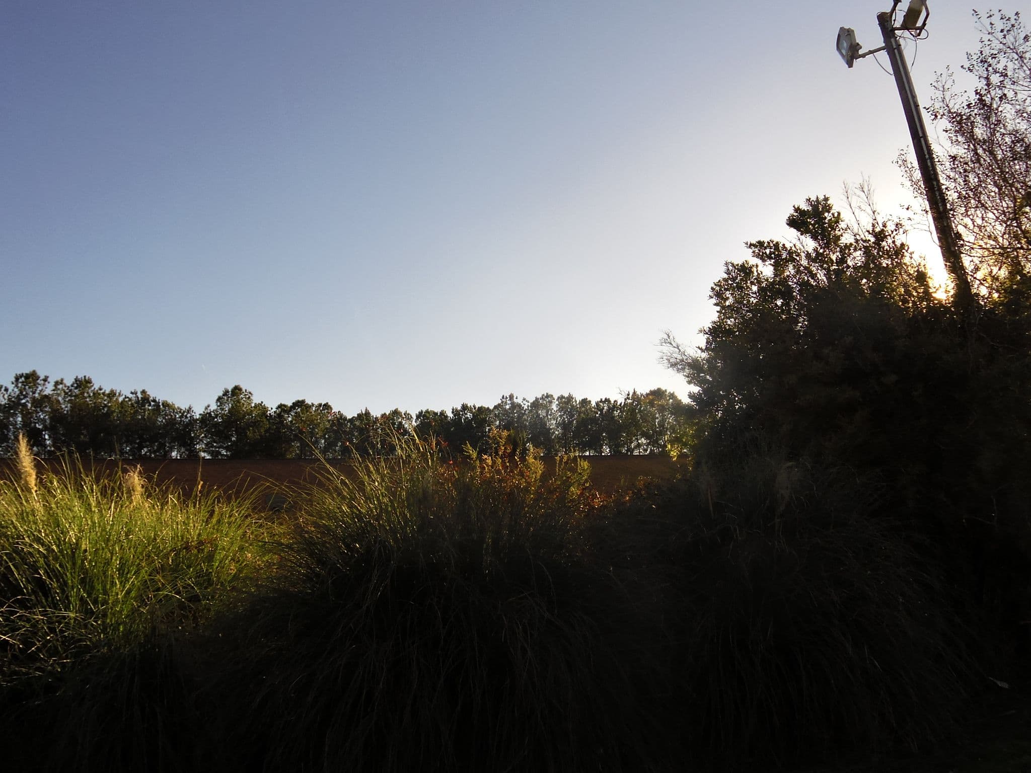 Street view near Travelodge by Wyndham, Laurel Bay — © allen (CC BY-SA · Mapillary)