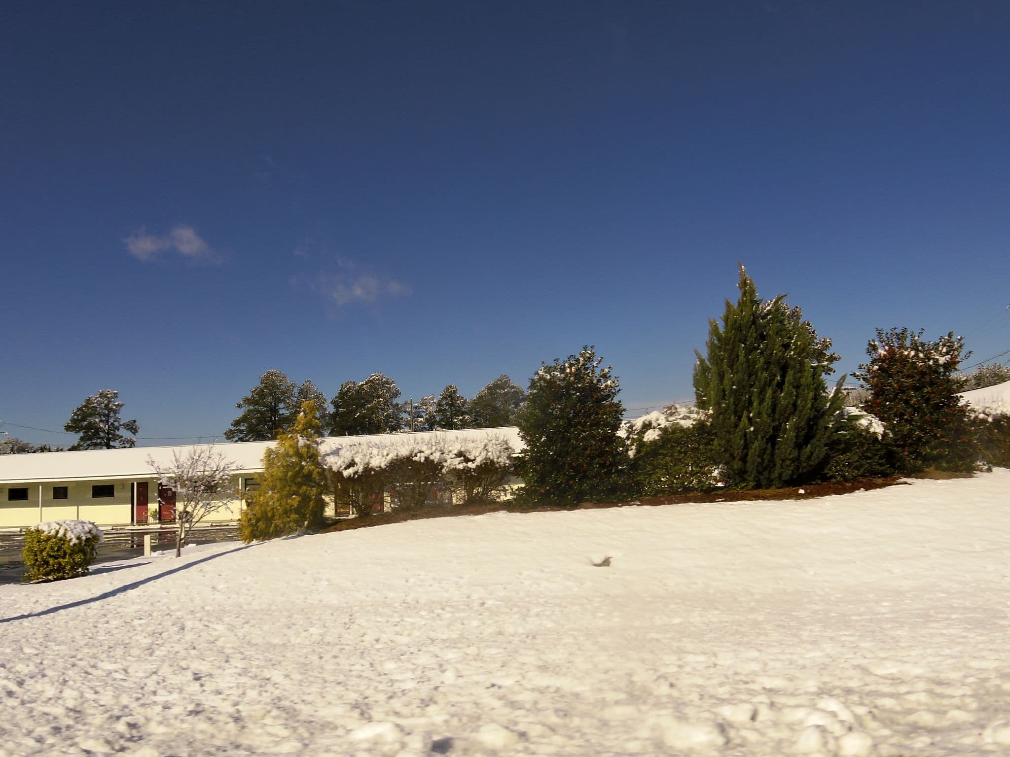 Street view near Brightleaf Motel, Elm City — © allen (CC BY-SA · Mapillary)