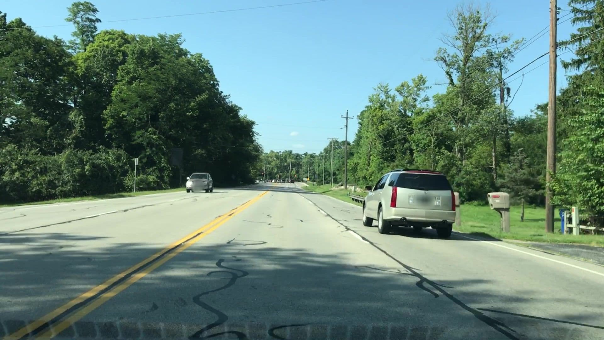 Street view near The Dacha, Powell — © lvl5 (CC BY-SA · Mapillary)