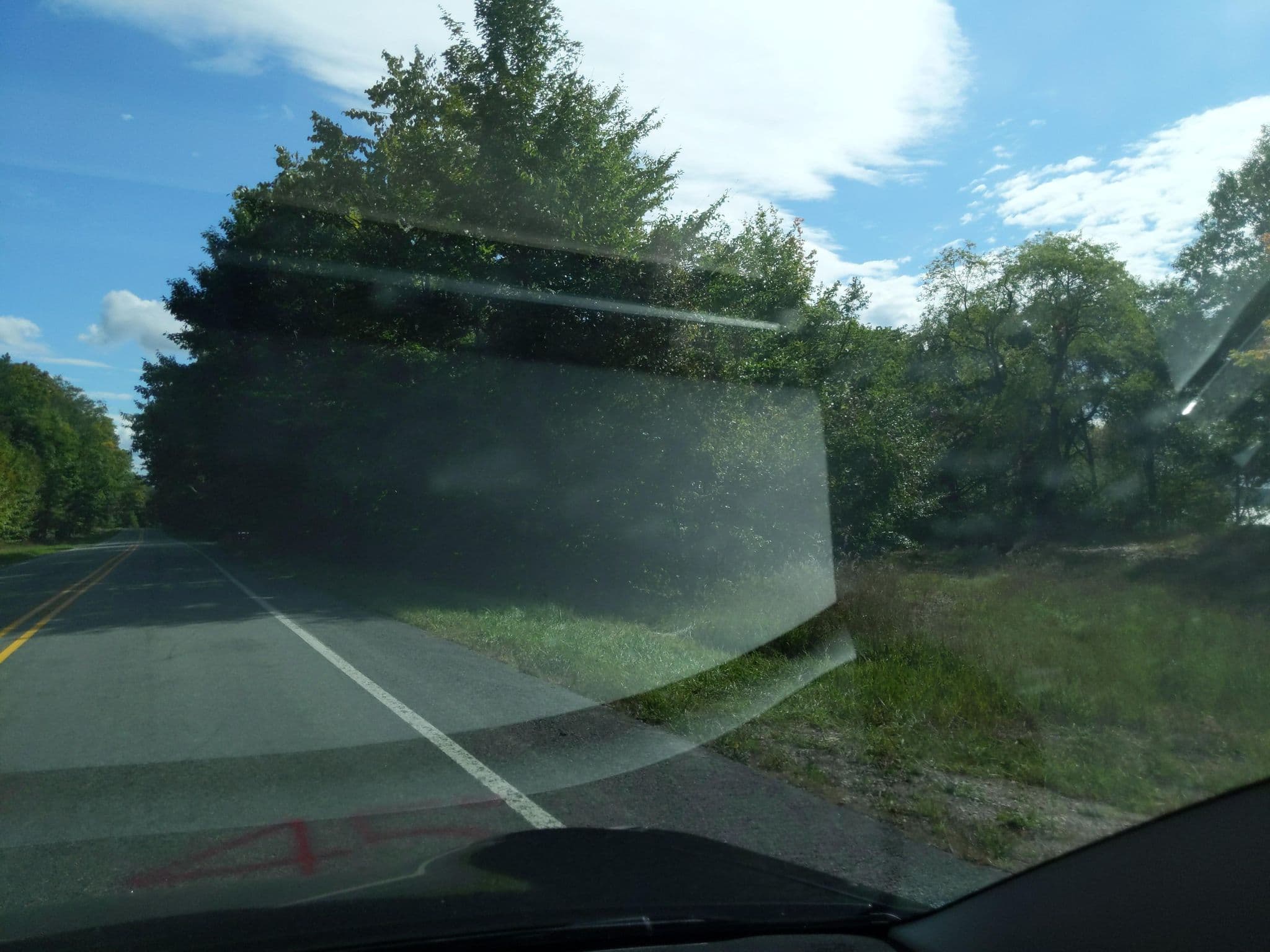 Street view near 4512 East Torch Lake, Elk Rapids — © treestryder (CC BY-SA · Mapillary)