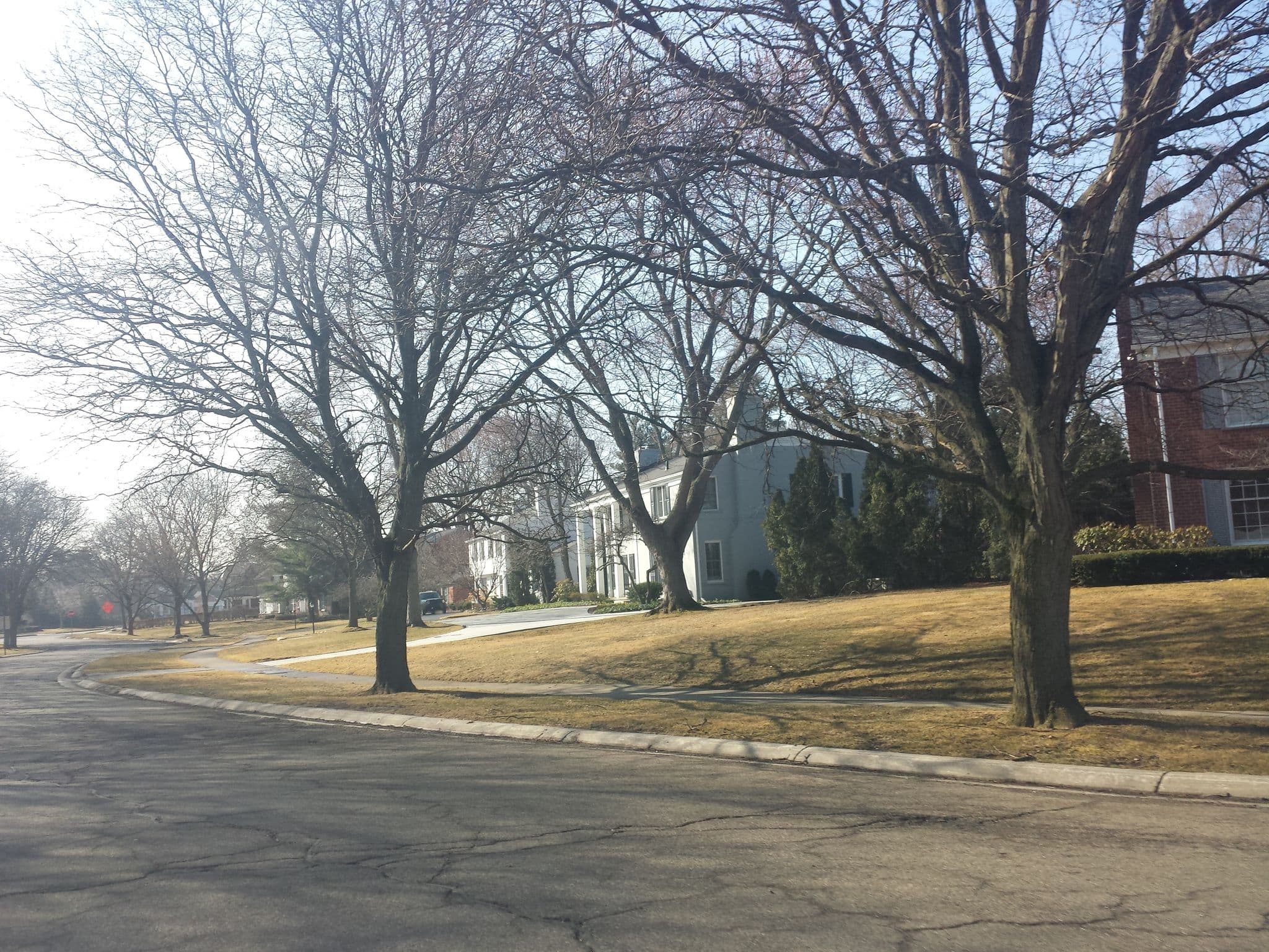 Street view near The G & D Mansion, Bloomfield Hills — © rollercoasters (CC BY-SA · Mapillary)