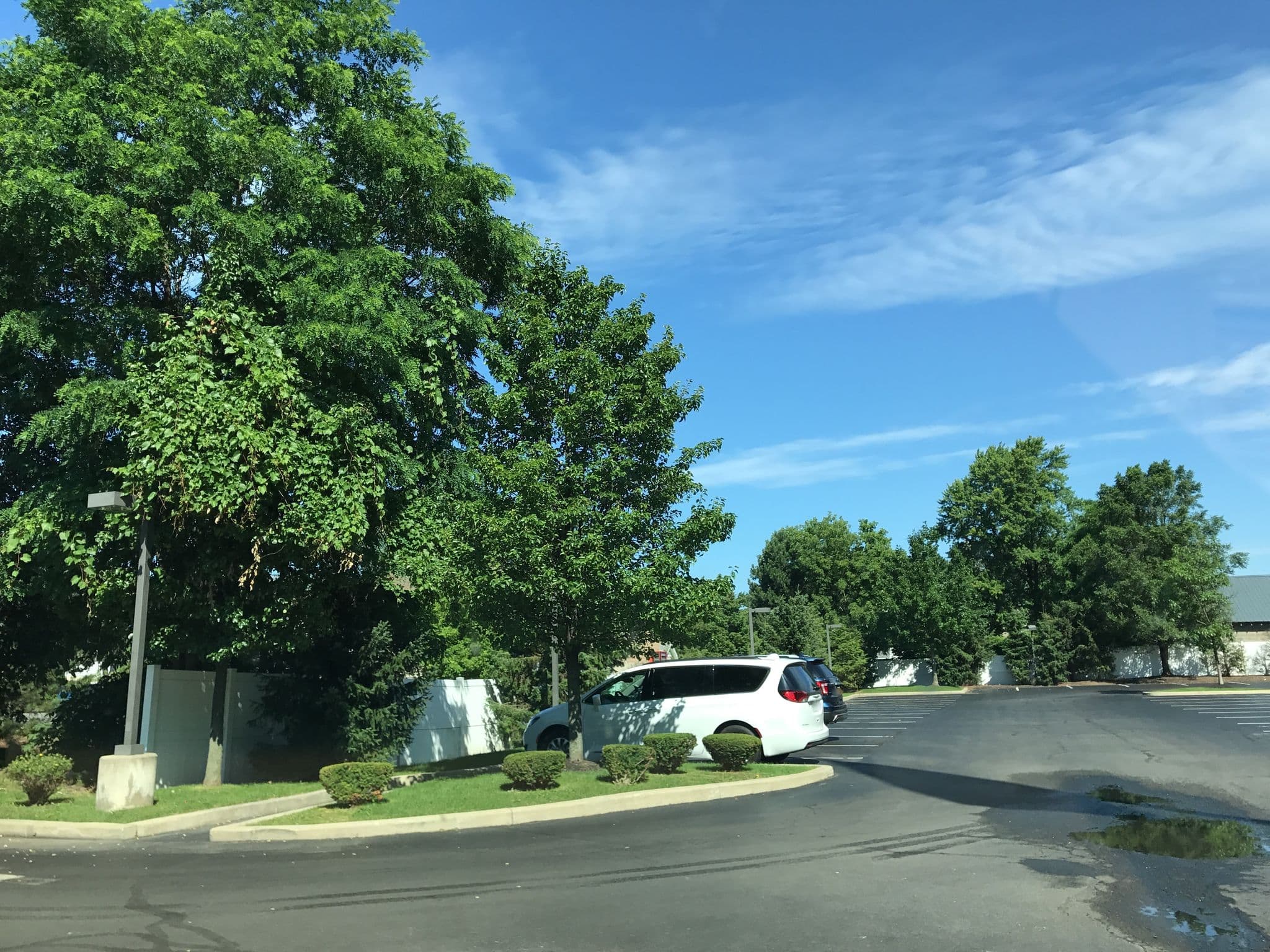 Street view near Marriott SpringHill Suites, Roessleville — © mdroads (CC BY-SA · Mapillary)