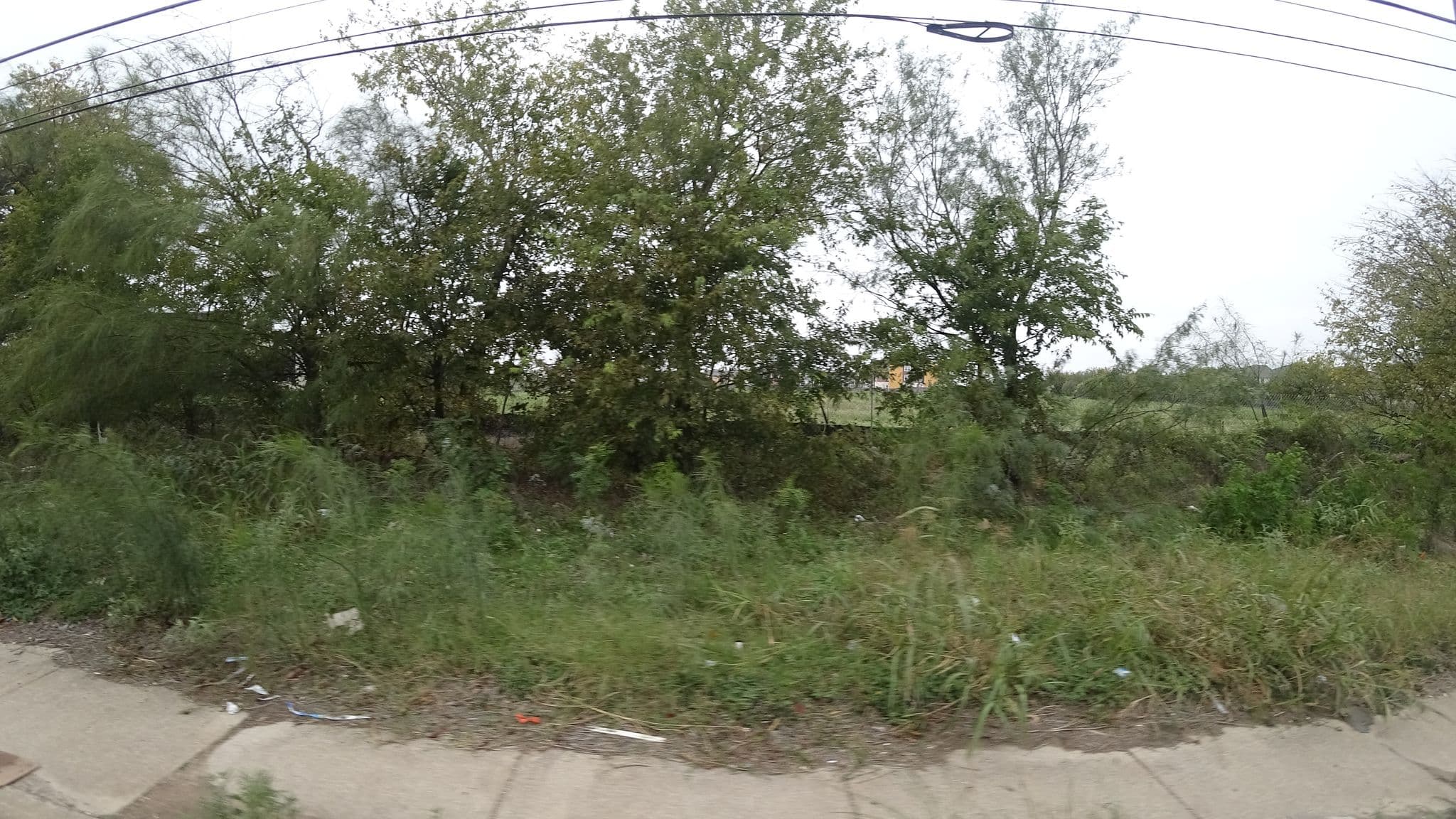 Street view near Altair Tech Ridge, Pflugerville — © mly_aus04 (CC BY-SA · Mapillary)