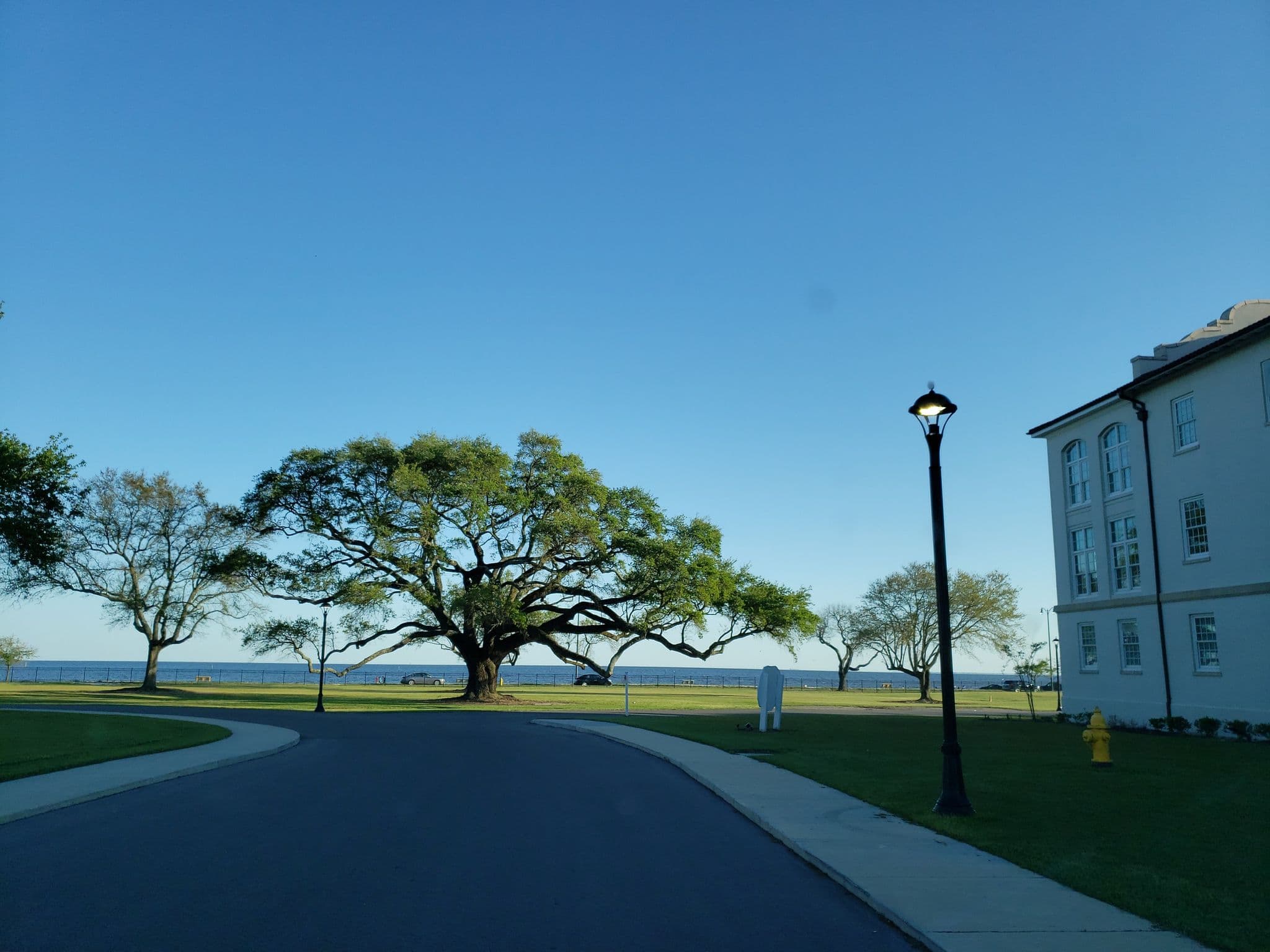 Street view near Oasis Resort, Gulfport — © jackdripper (CC BY-SA · Mapillary)