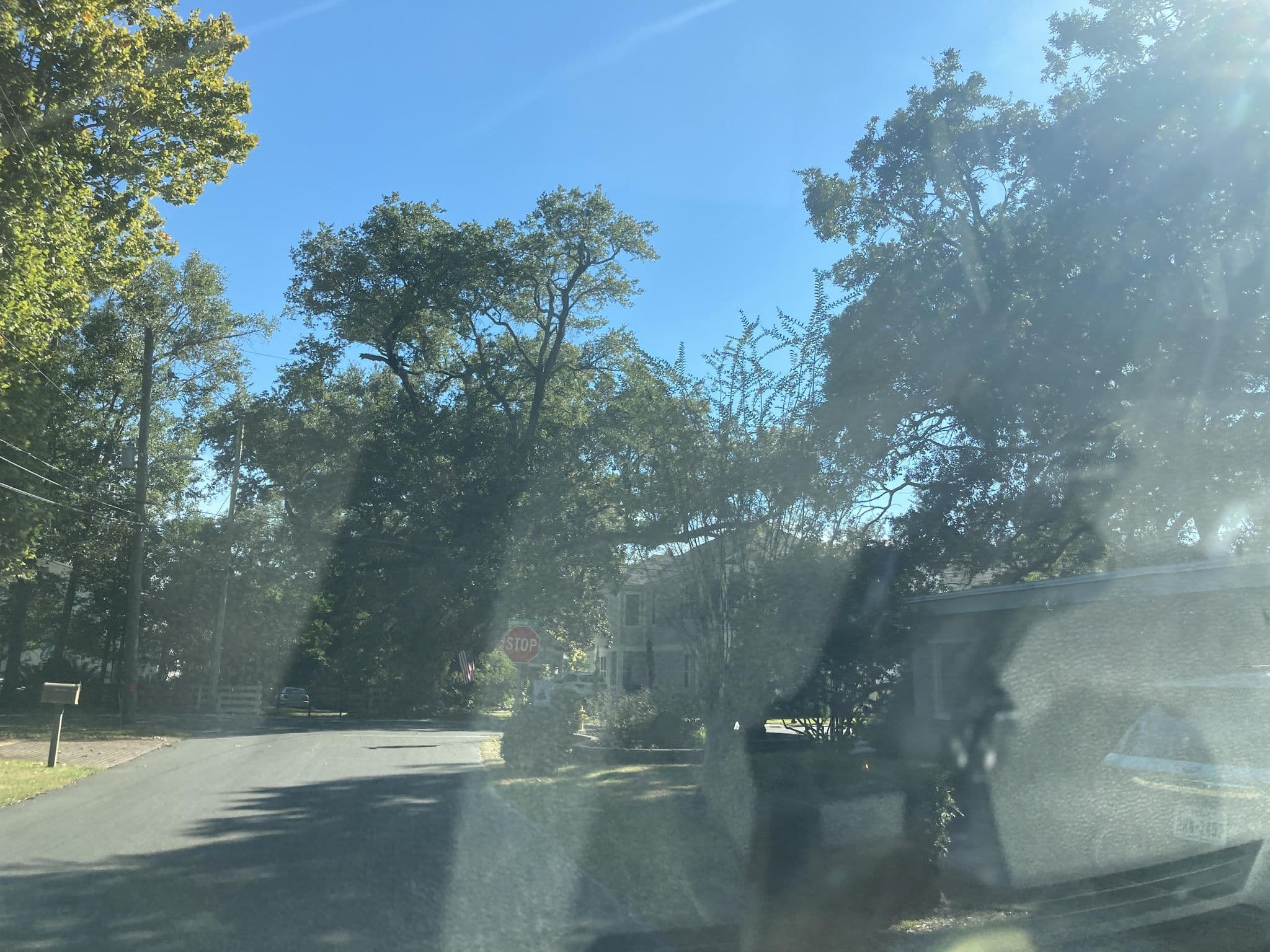 Street view near Marian Wingo & Associates, Ocean Springs — © Bluerocky (CC BY-SA · Mapillary)