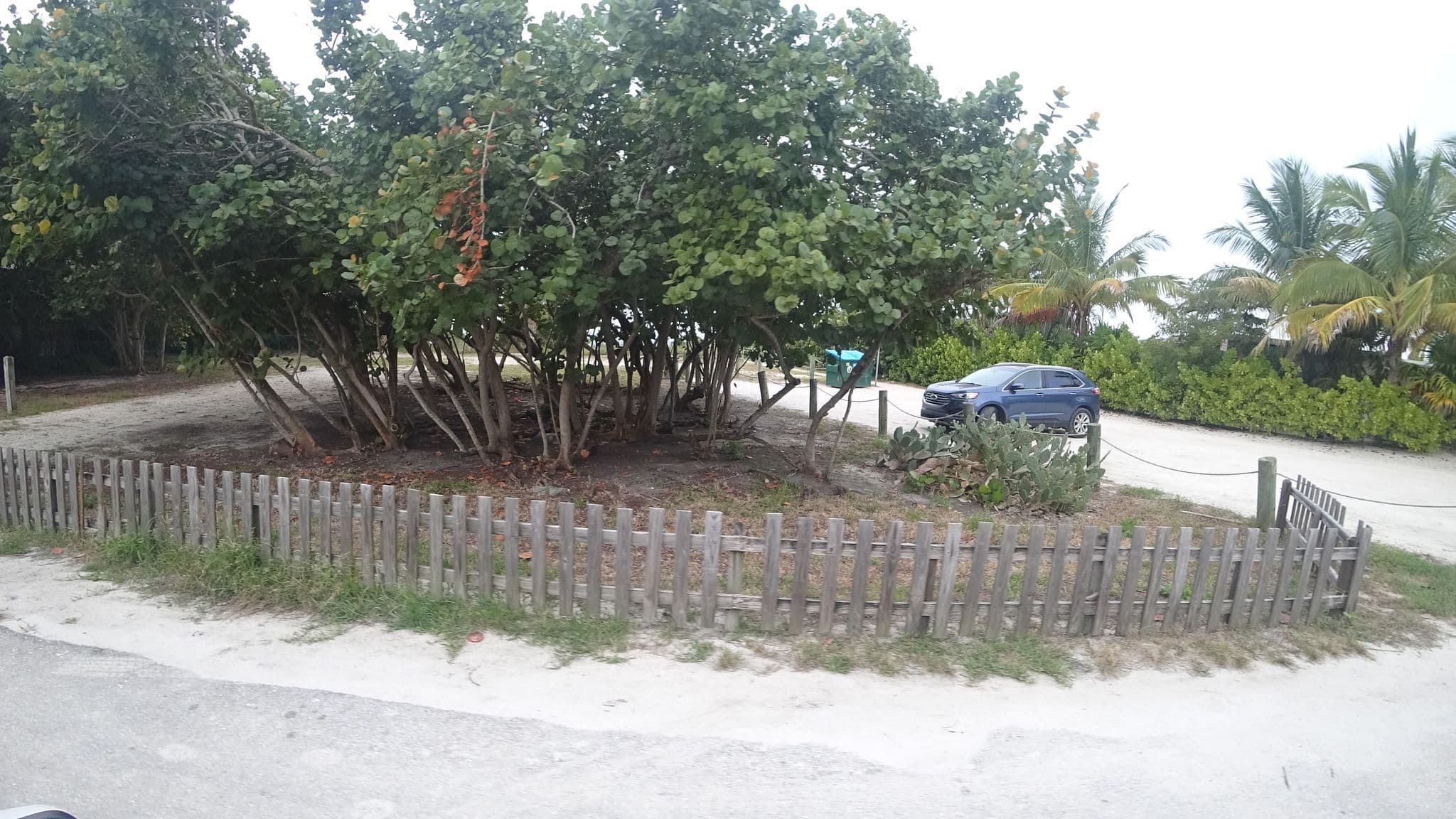 Street view near Lizzie Lu's Island Retreat, Anna Maria — © jpace (CC BY-SA · Mapillary)