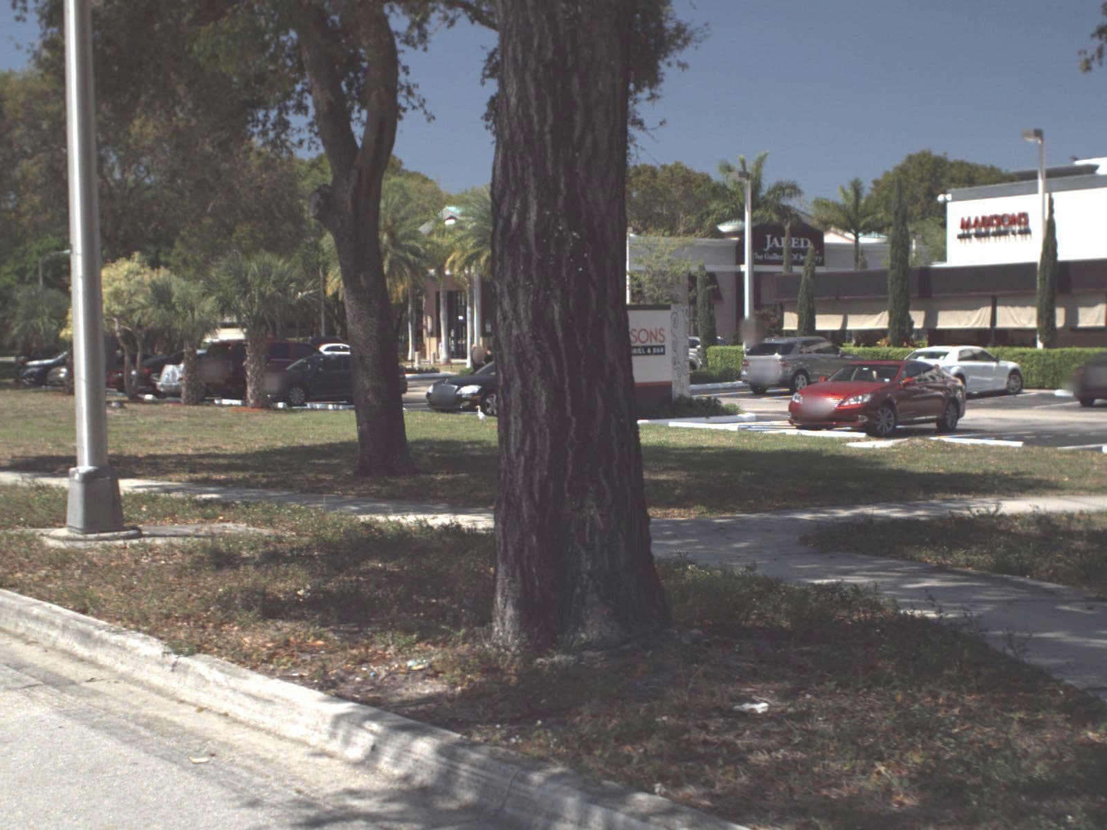 Street view near Dana Simandlova, Boca Del Mar — © fdot_vl (CC BY-SA · Mapillary)
