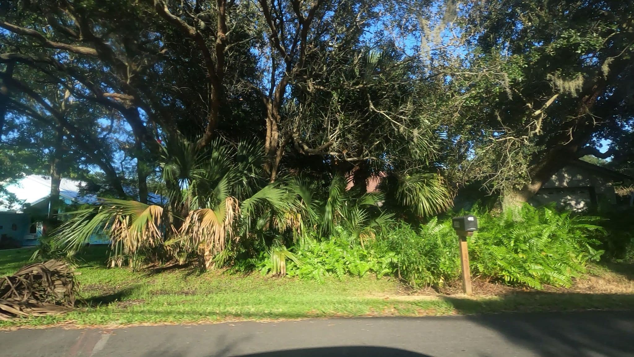 Street view near Ballroom, Saint Augustine South — © allen (CC BY-SA · Mapillary)