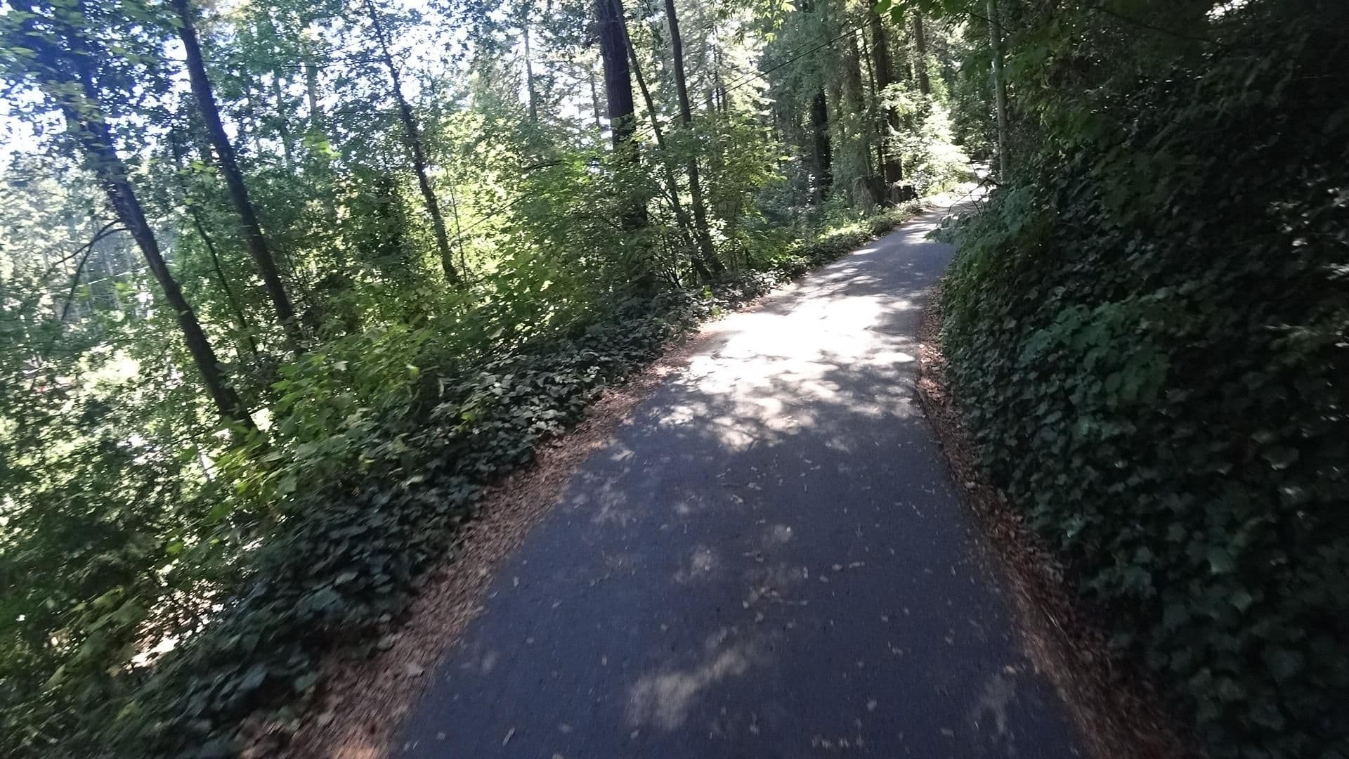 Street view near Lollipop, Monte Rio — © marker_geo (CC BY-SA · Mapillary)