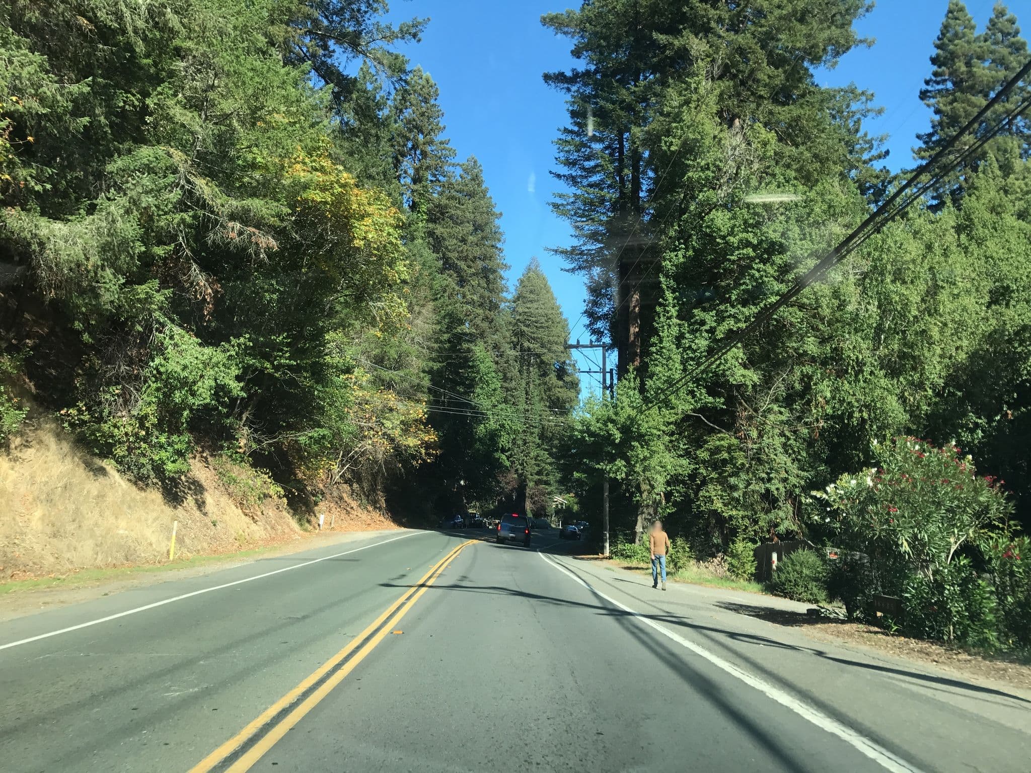 Street view near River Beach Vacation Homes, Guerneville — © amahon (CC BY-SA · Mapillary)