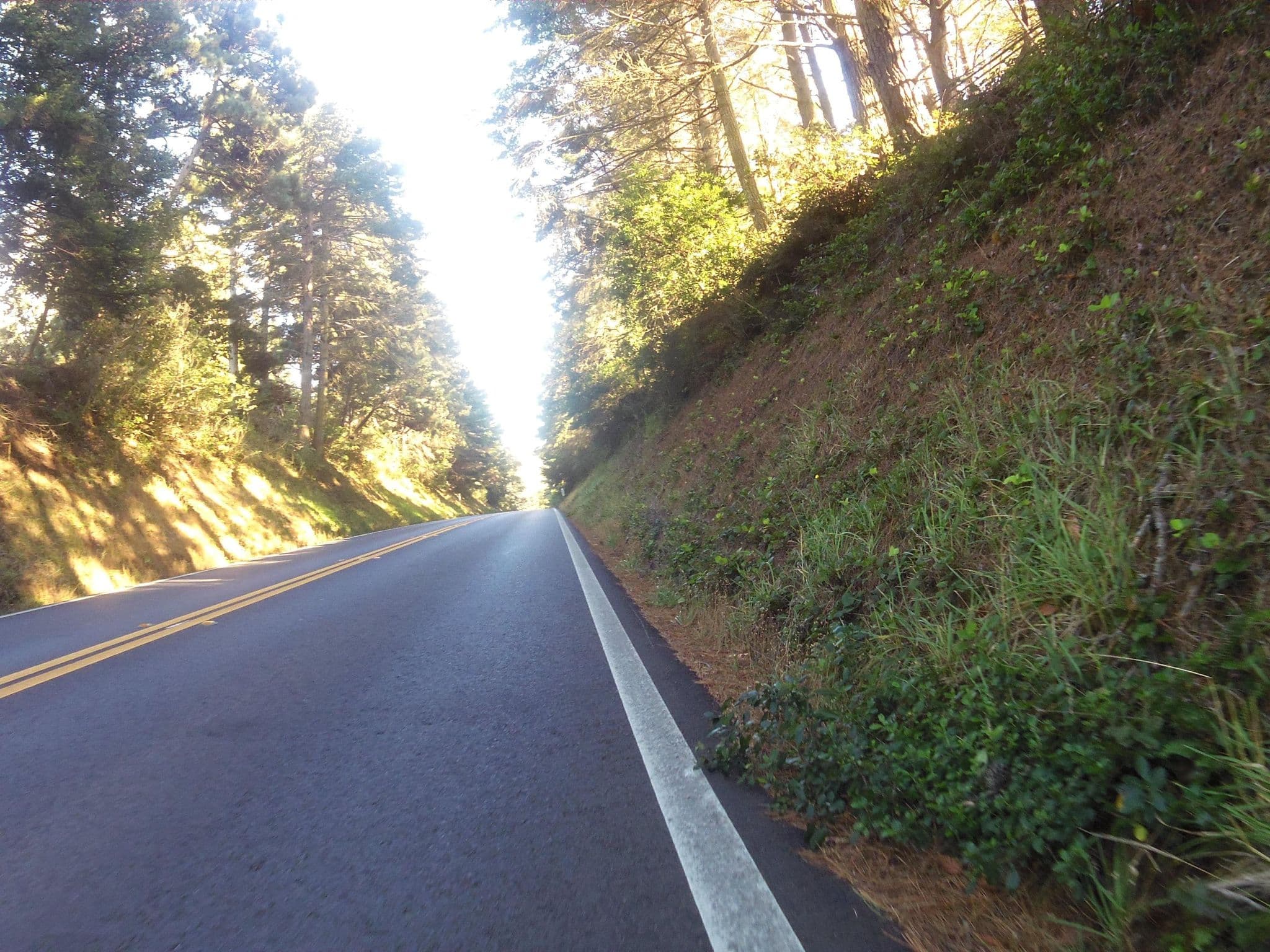 Street view near Seacliff, Sea Ranch — © andrewsnow (CC BY-SA · Mapillary)