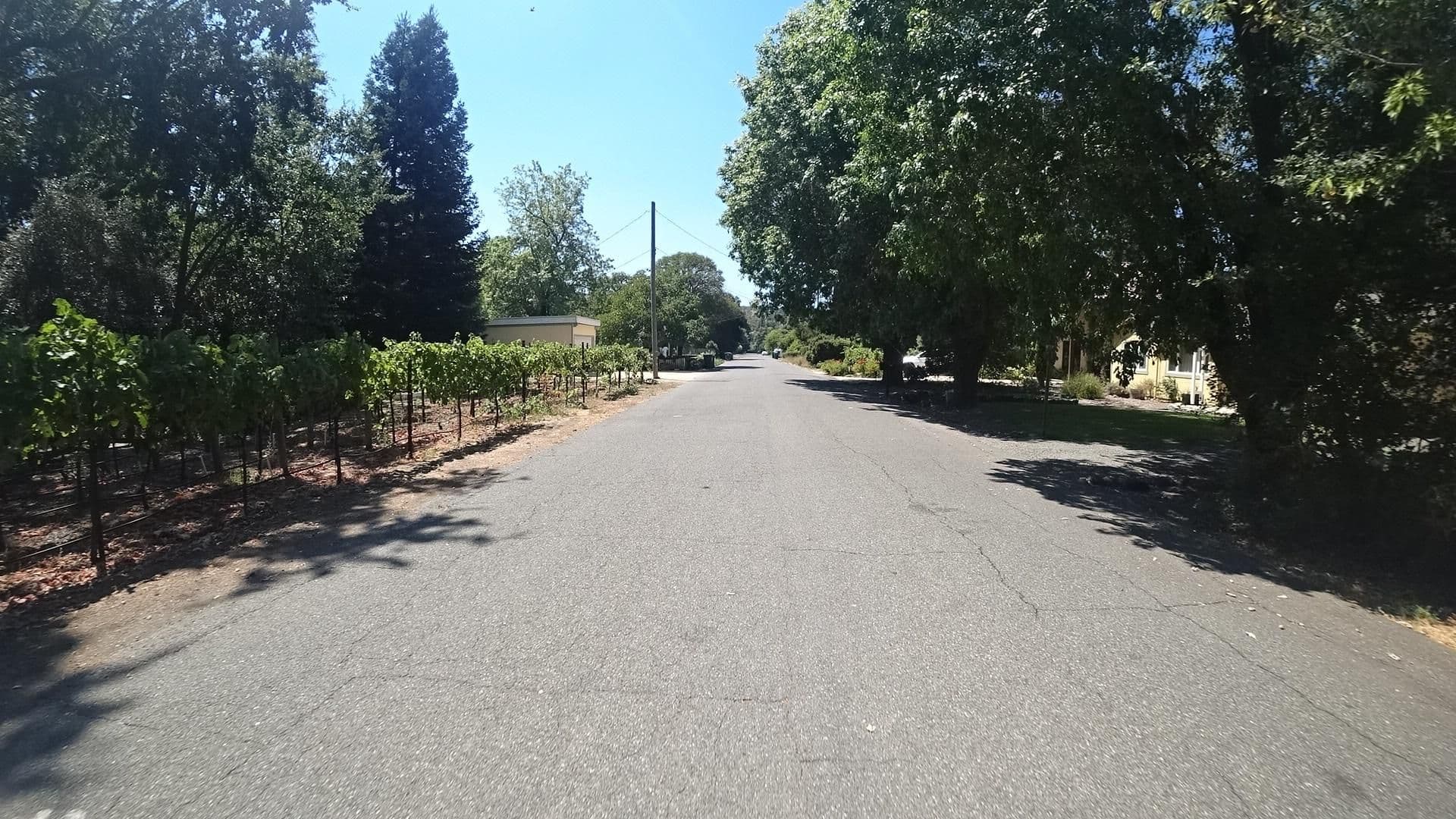 Street view near Hacienda Sonoma, Agua Caliente — © marker_geo (CC BY-SA · Mapillary)