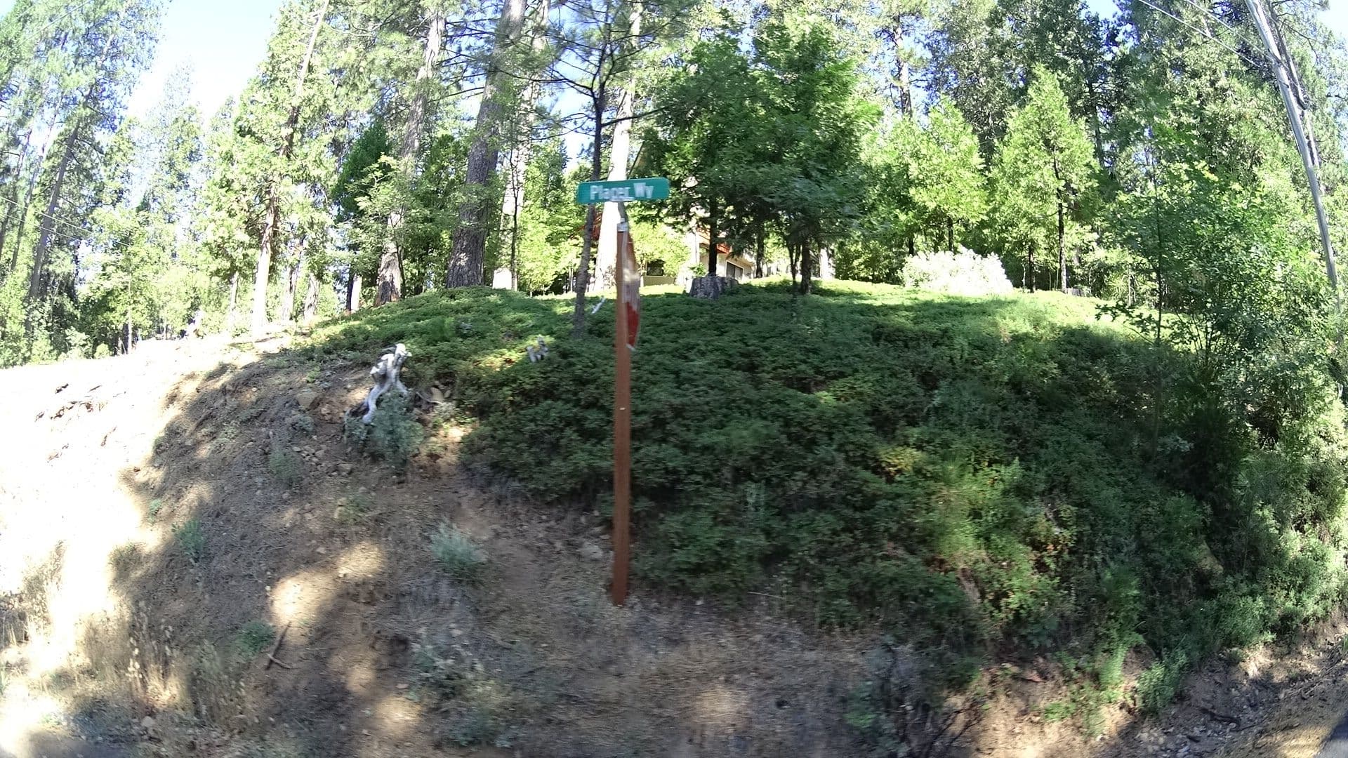 Street view near Plato's Mountain Rest, Forest Meadows — © marker_geo (CC BY-SA · Mapillary)