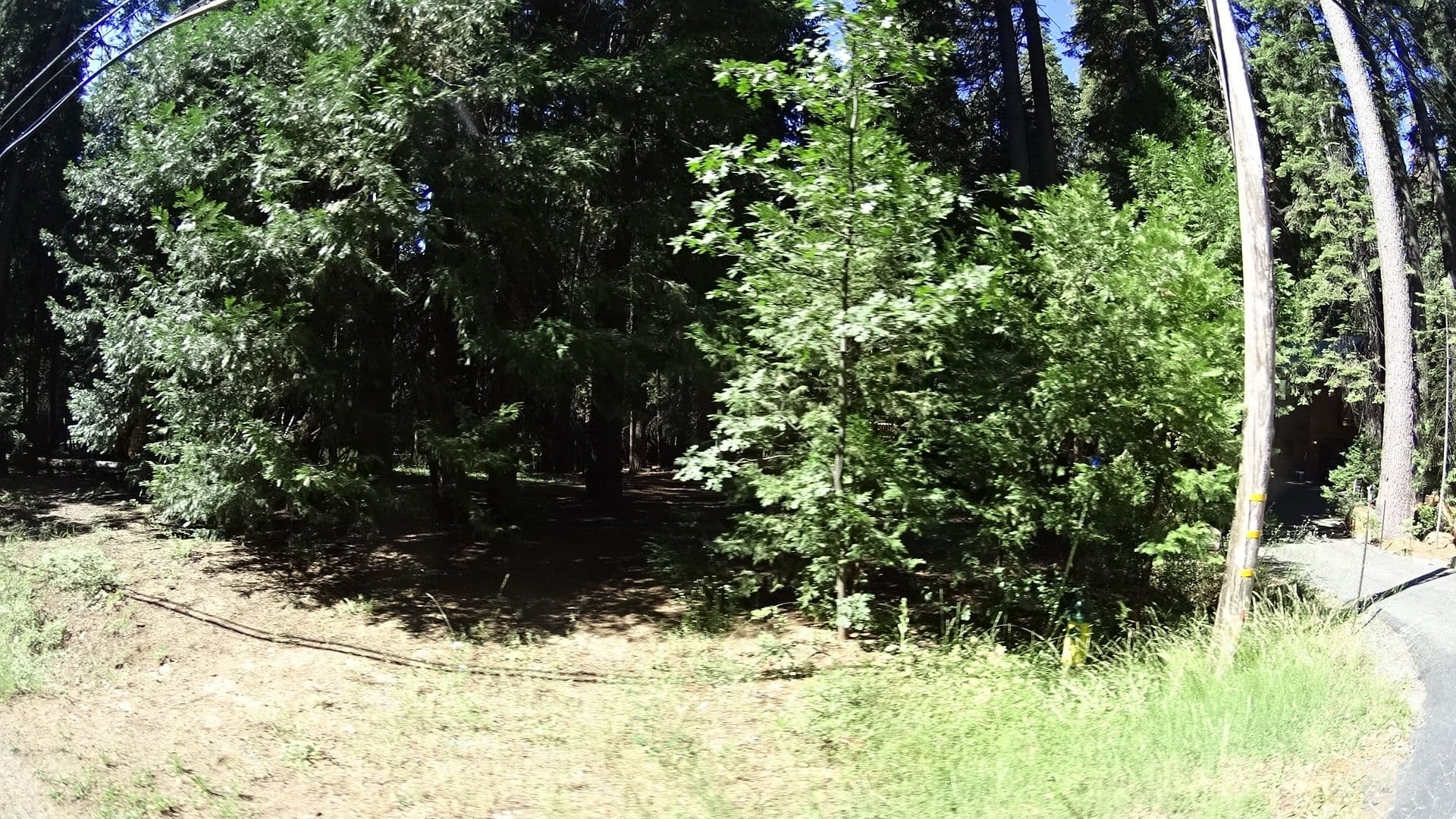 Street view near Teel Lodge, Forest Meadows — © marker_geo (CC BY-SA · Mapillary)
