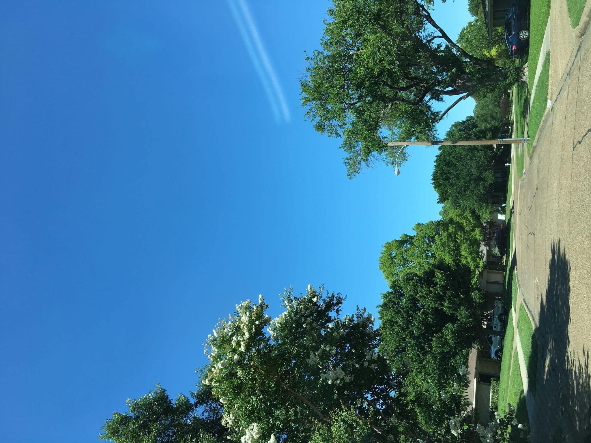 Street view near Snuggle Town, Richardson — © pspatricksr1958 (CC BY-SA · Mapillary)