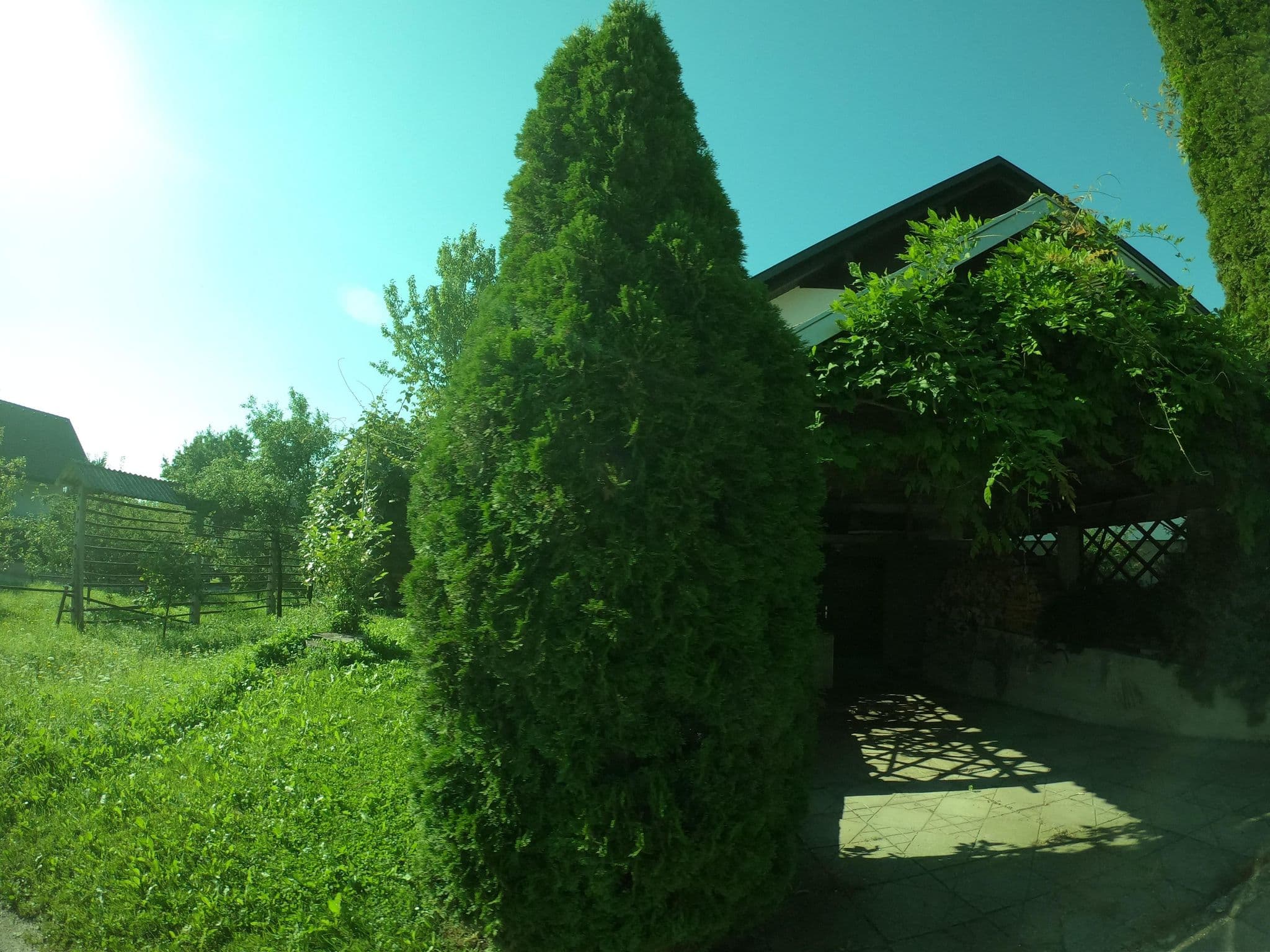 Street view near Apartments and Rooms Tavcar, Zasip — © richlv (CC BY-SA · Mapillary)