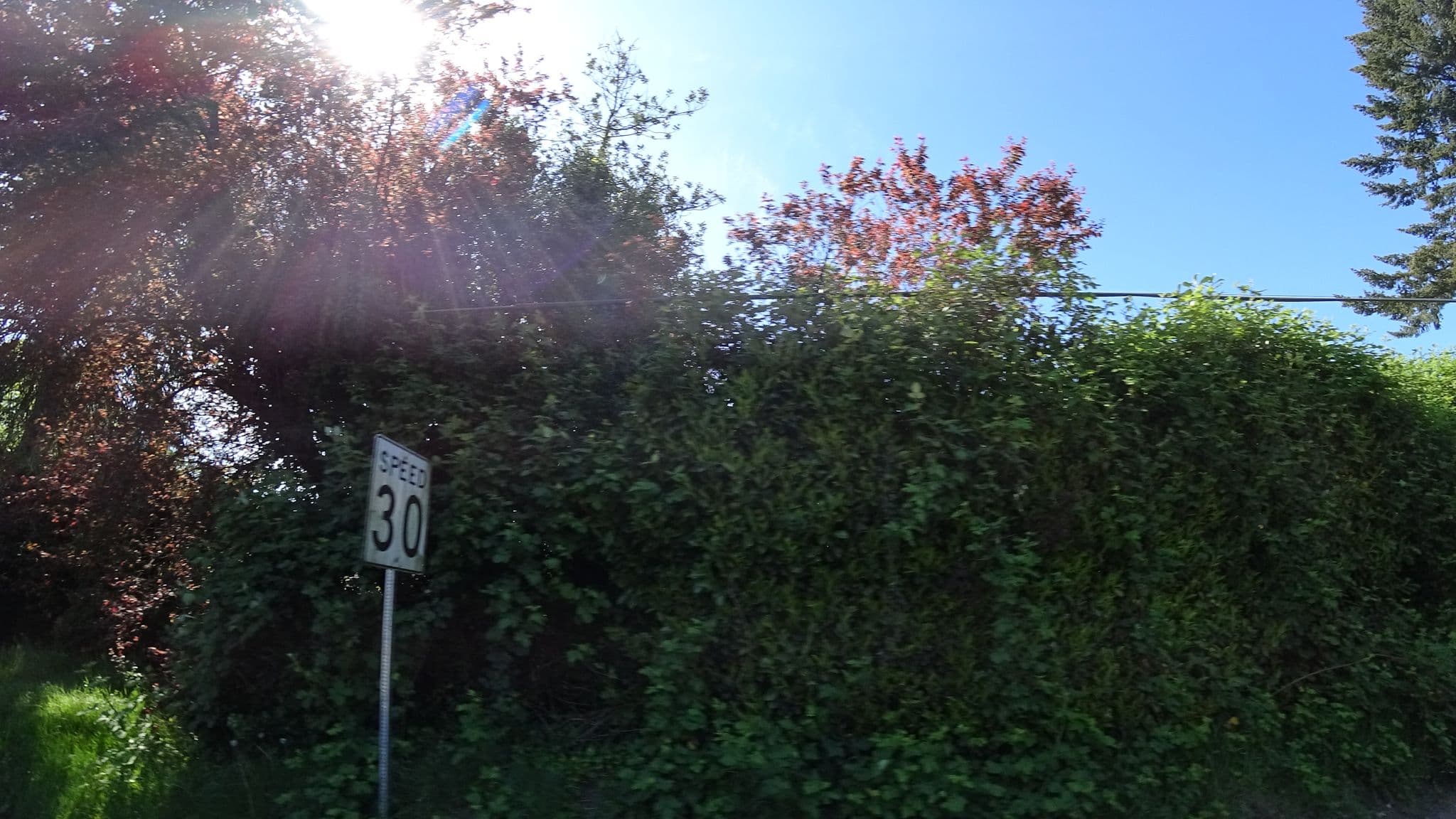 Street view near Cascadia Hotel & Suites, West Slope — © mly_pdx05 (CC BY-SA · Mapillary)