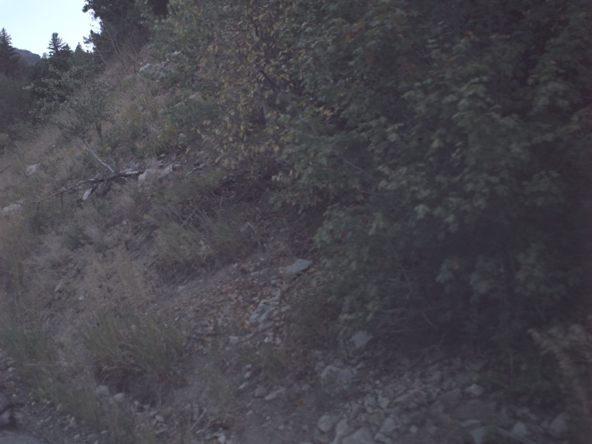 Street view near Riverrun #4, Lindon — © asellars (CC BY-SA · Mapillary)