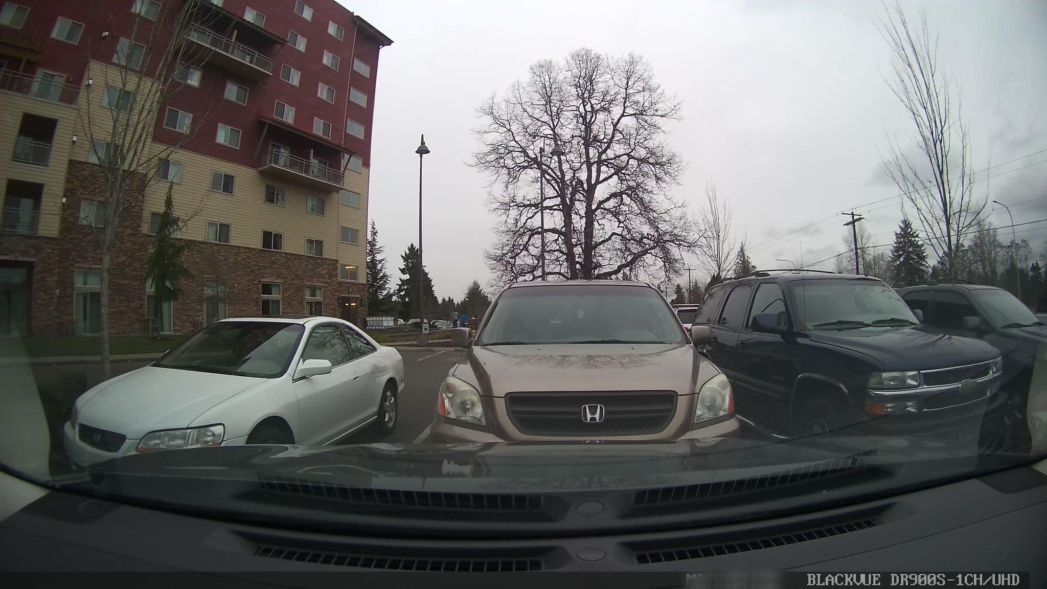 Street view near Room 4034, Grand Mound — © damnitgetmybeer (CC BY-SA · Mapillary)