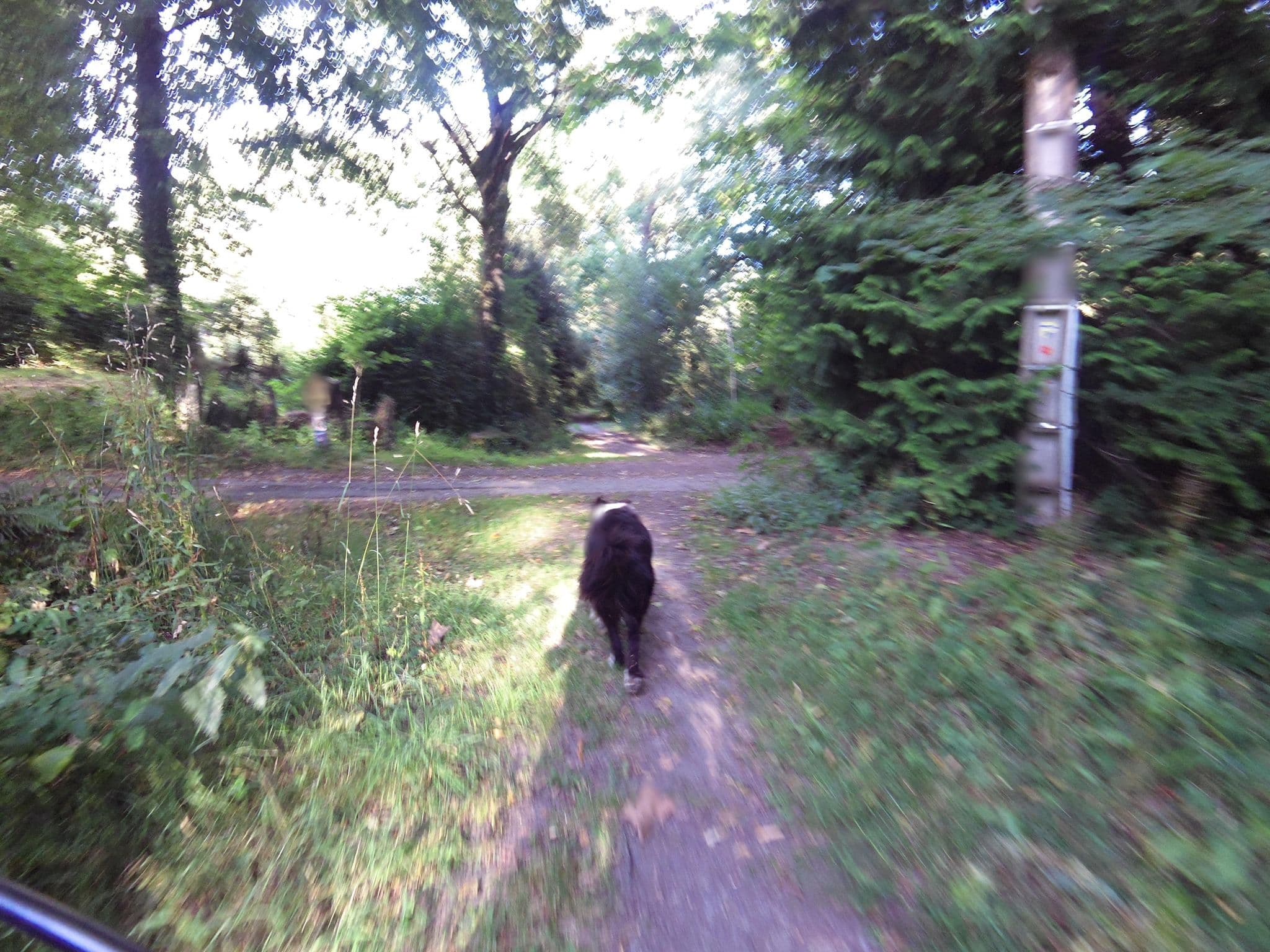 Street view near Rioufol Philippe, Pluherlin — © hamlet (CC BY-SA · Mapillary)