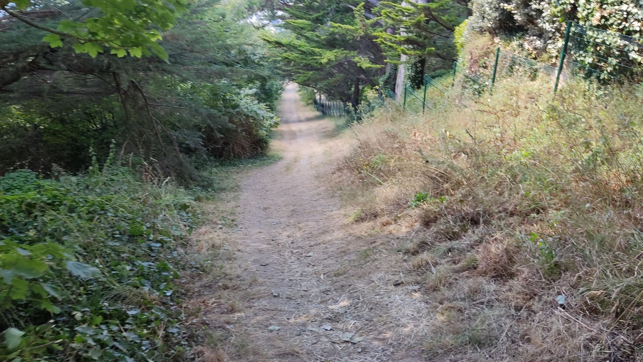 Street view near Ti Al Lannec, Trébeurden — © whatismoss (CC BY-SA · Mapillary)
