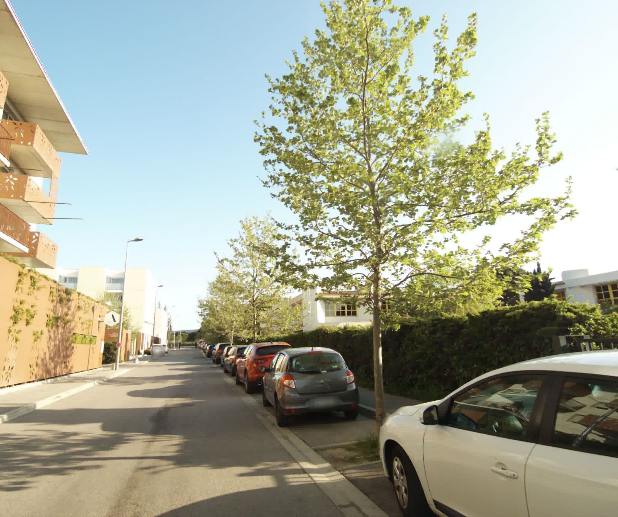 Street view near Lagrange City - Résidence du Château, Castelnau-le-Lez — © sogefi (CC BY-SA · Mapillary)