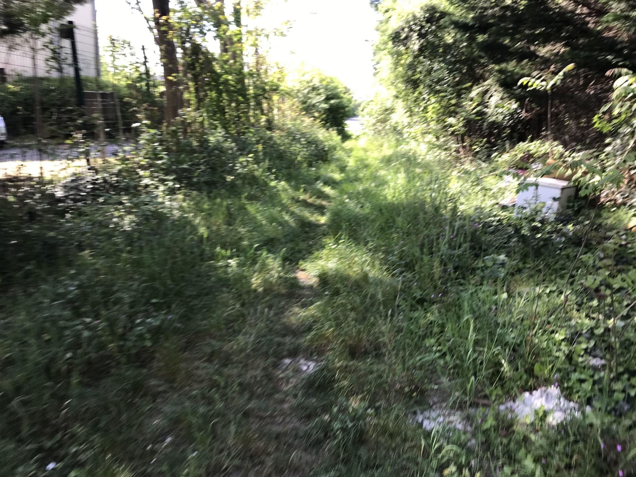 Street view near Kyriad Linas Montlhery, Linas — © josmougn (CC BY-SA · Mapillary)