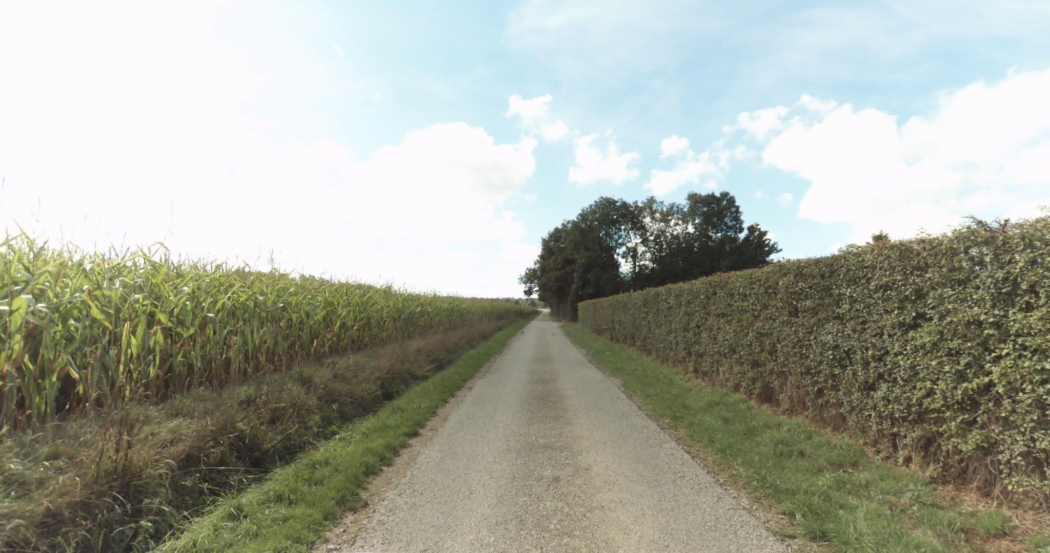 Street view near Au Grand Verger de la Siaule, Orbec — © sogefi (CC BY-SA · Mapillary)