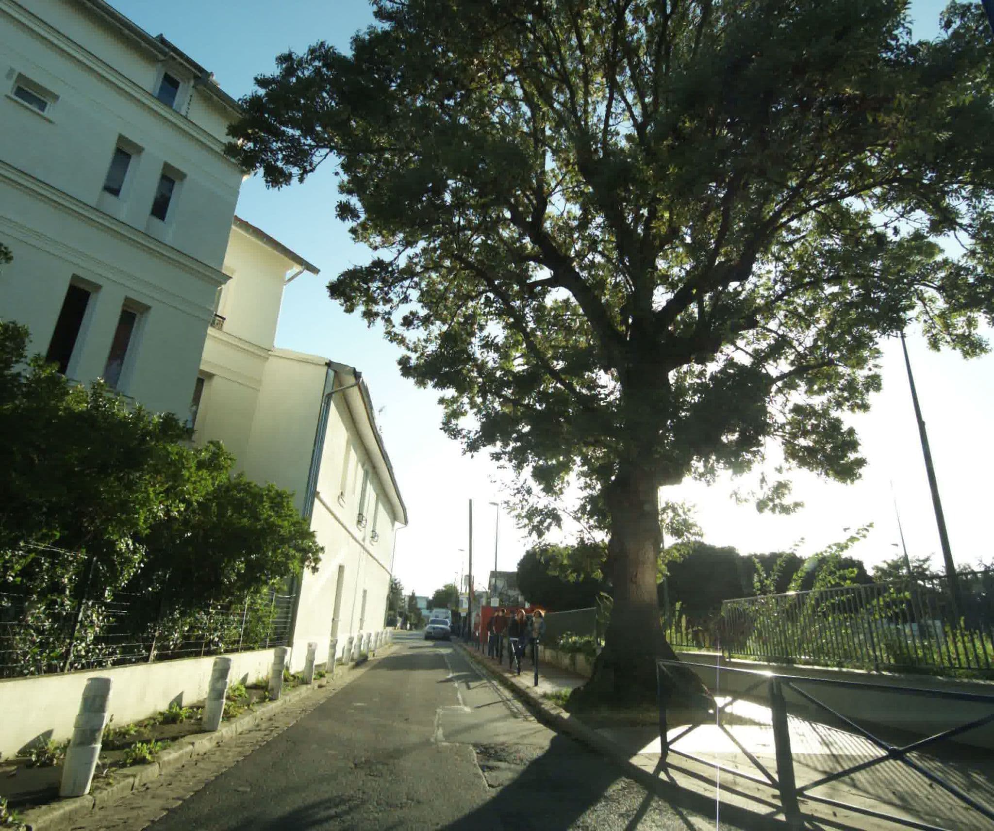 Street view near Arcantis S.A., Le Plessis-Robinson — © sogefi (CC BY-SA · Mapillary)