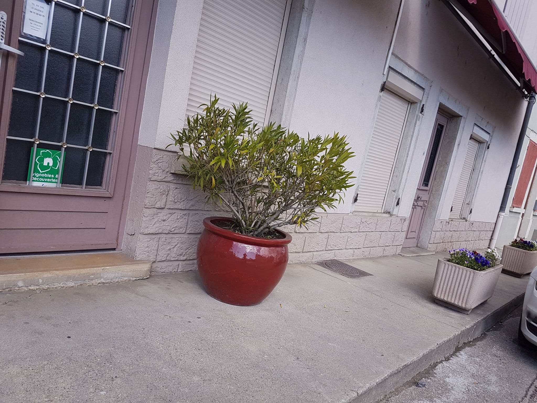 Street view near Hotel Restaurant Rolland, Serrières-de-Briord — © changchun1 (CC BY-SA · Mapillary)