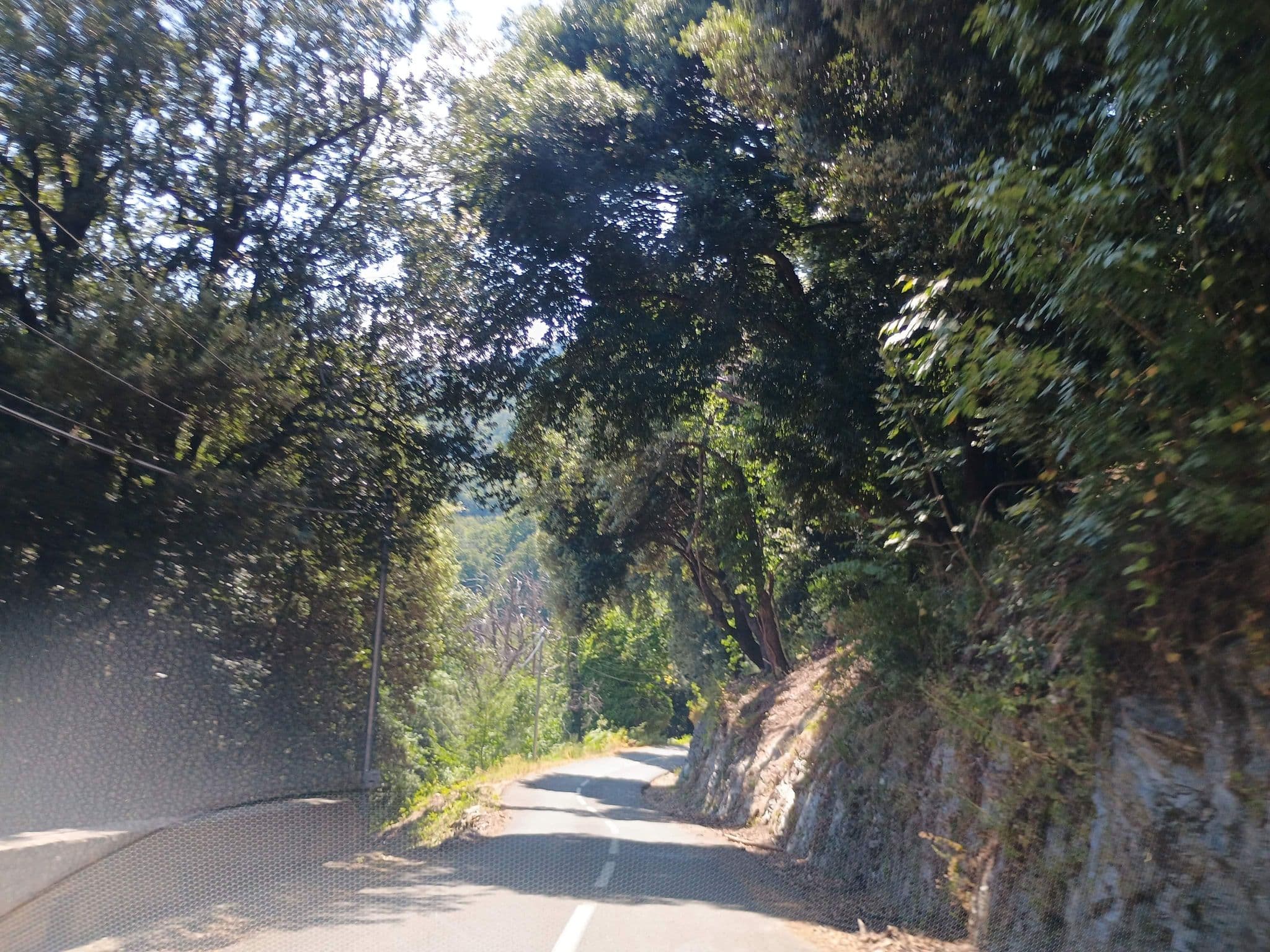 Street view near San Giovanni E Catarelle, San-Nicolao — © thetornado76 (CC BY-SA · Mapillary)