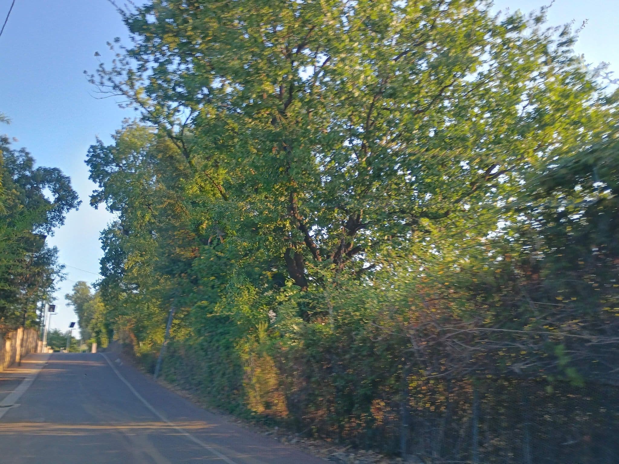 Street view near Residence de tourisme le clos des Vendanges, San-Nicolao — © thetornado76 (CC BY-SA · Mapillary)