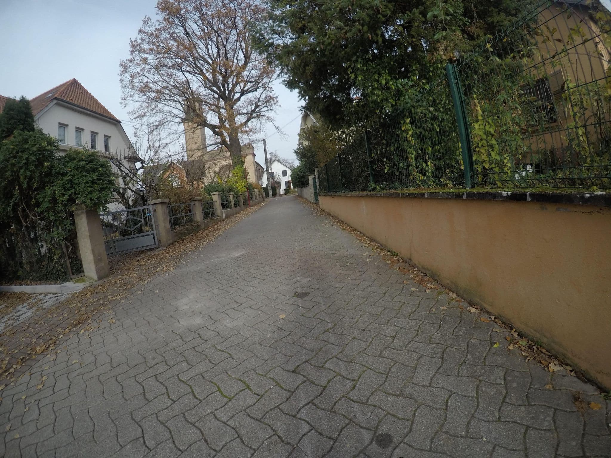 Street view near La Cinquième Saison, Mundolsheim — © mfa (CC BY-SA · Mapillary)