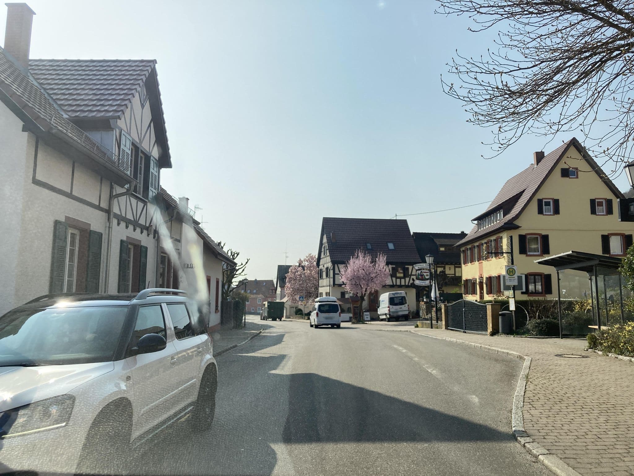 Street view near Gästehaus Friedrich, Badenweiler — © tasmaniadevil (CC BY-SA · Mapillary)