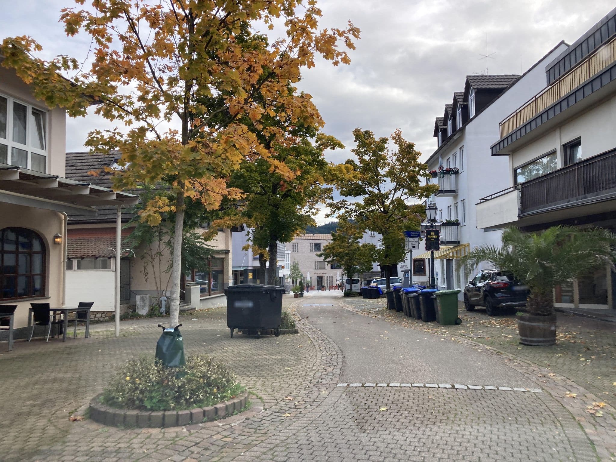 Street view near Luisenstuben, Badenweiler — © tasmaniadevil (CC BY-SA · Mapillary)