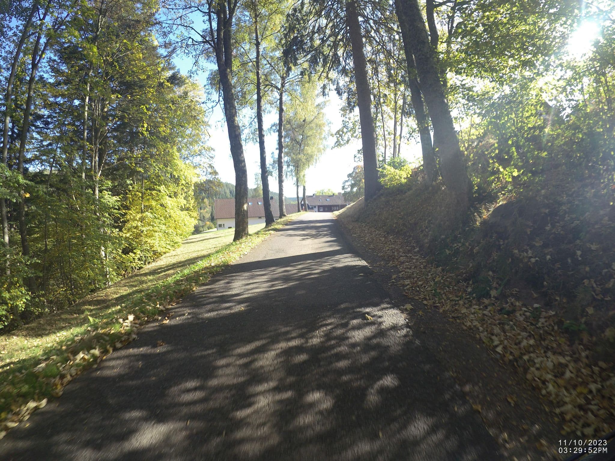 Street view near haus bergwald, Friedenweiler — © VIA_DT (CC BY-SA · Mapillary)