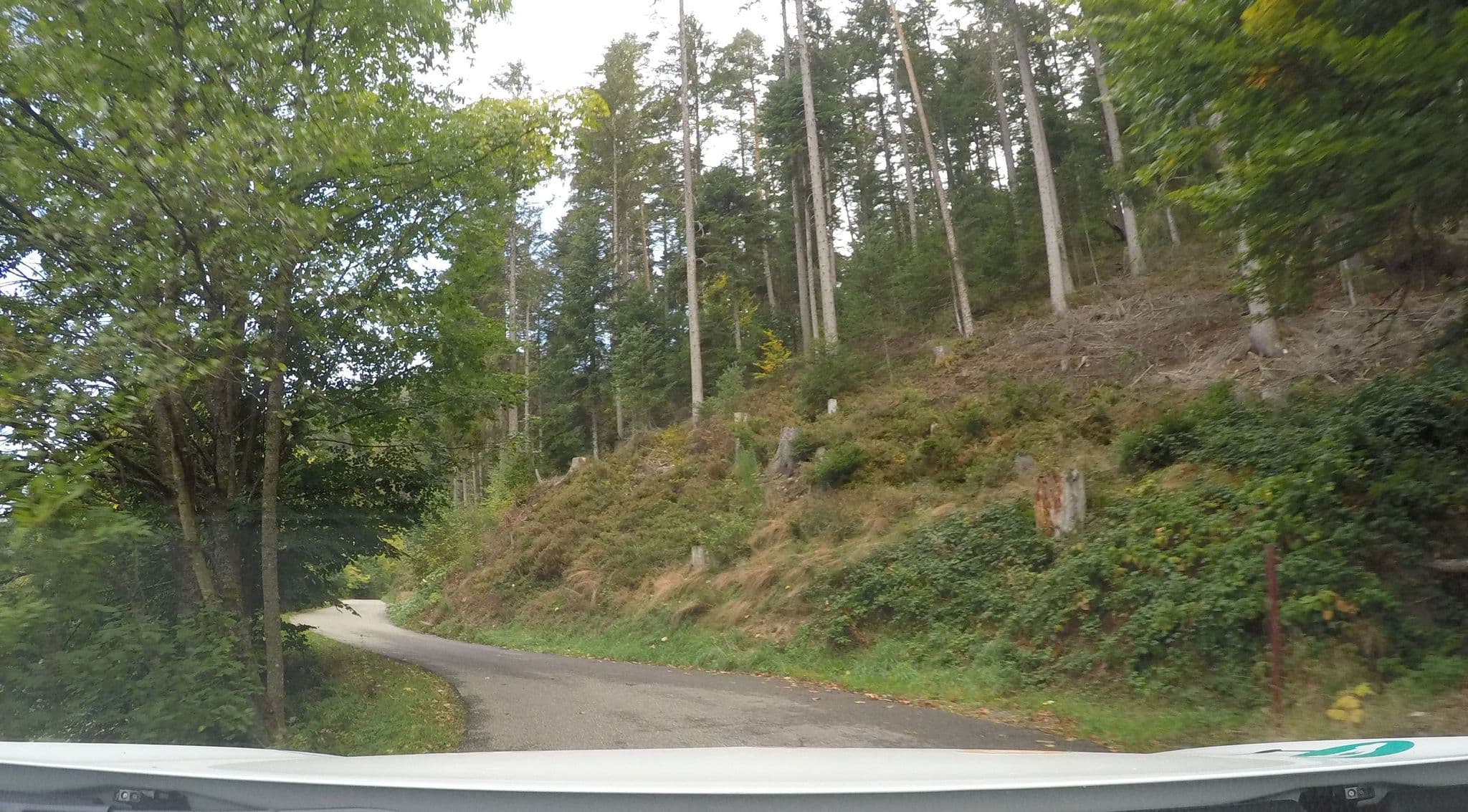 Street view near Pension Eikler Baiersbronn, Baiersbronn — © cyberfutzy (CC BY-SA · Mapillary)